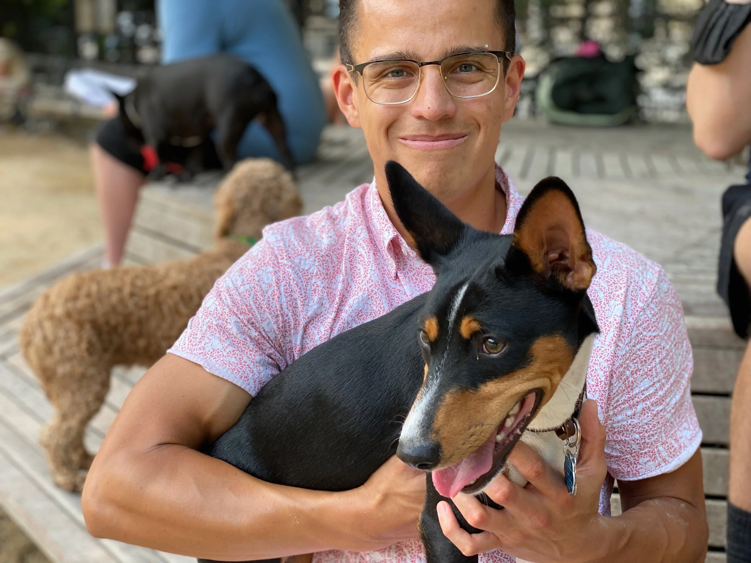 Simba the Puppy Makes his Premiere - New York City Basenji Meetup - 18 July 2021