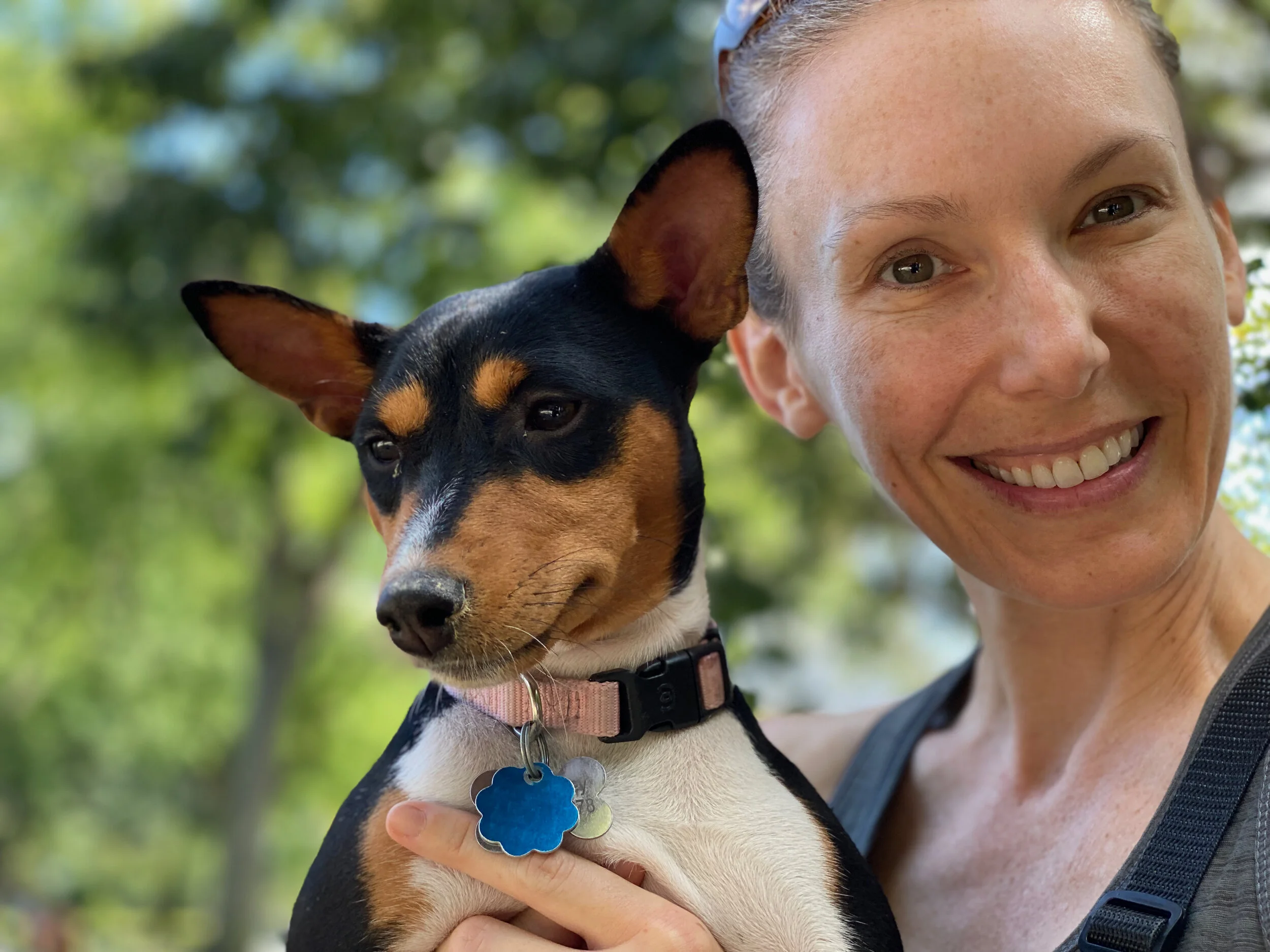 Two Newbies, Nine Puppies, Sixteen in Total - New York City Basenji Meetup - 15 August 2021