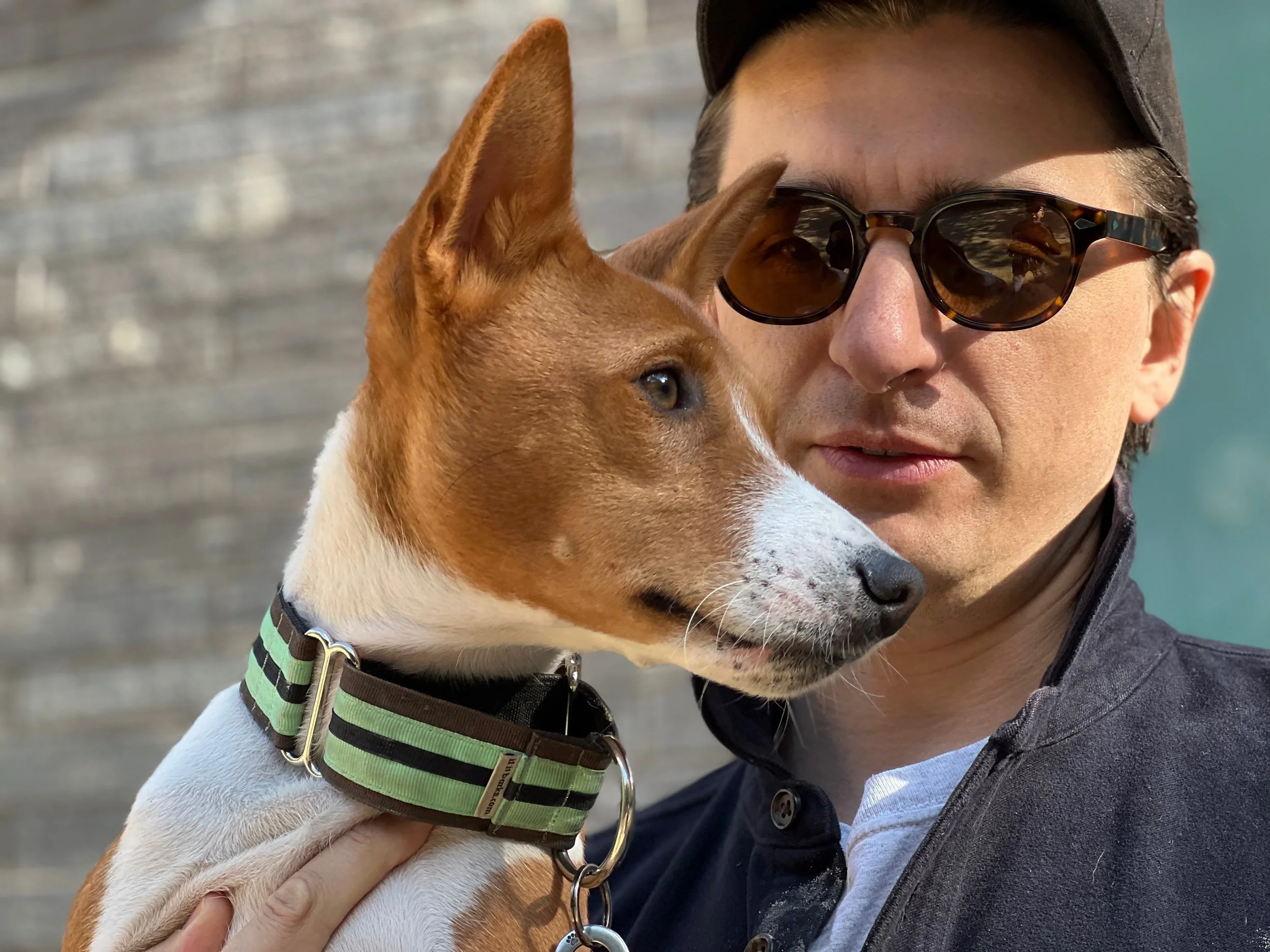 Blue, Dante, Kepler, Lucky, and Mia - New York City Basenji Meetup - 17 October 2021