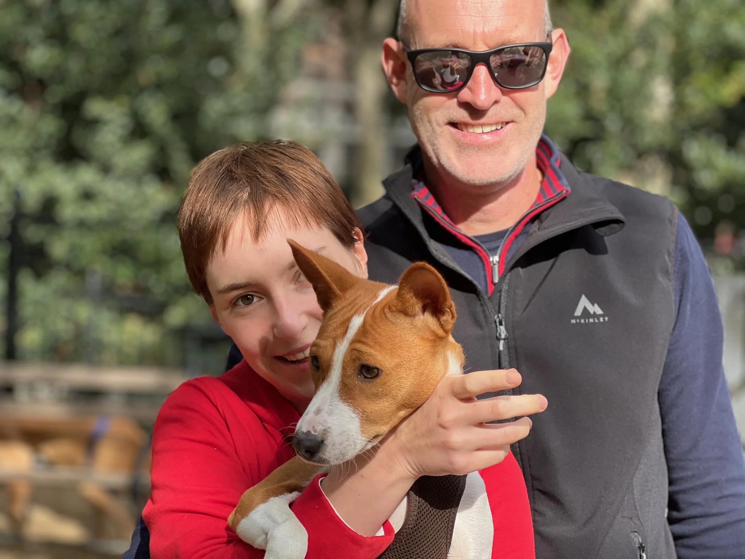 Newbie Idonea and Two Pairs of Littermates - New York City Basenji Meetup - 24 October 2021