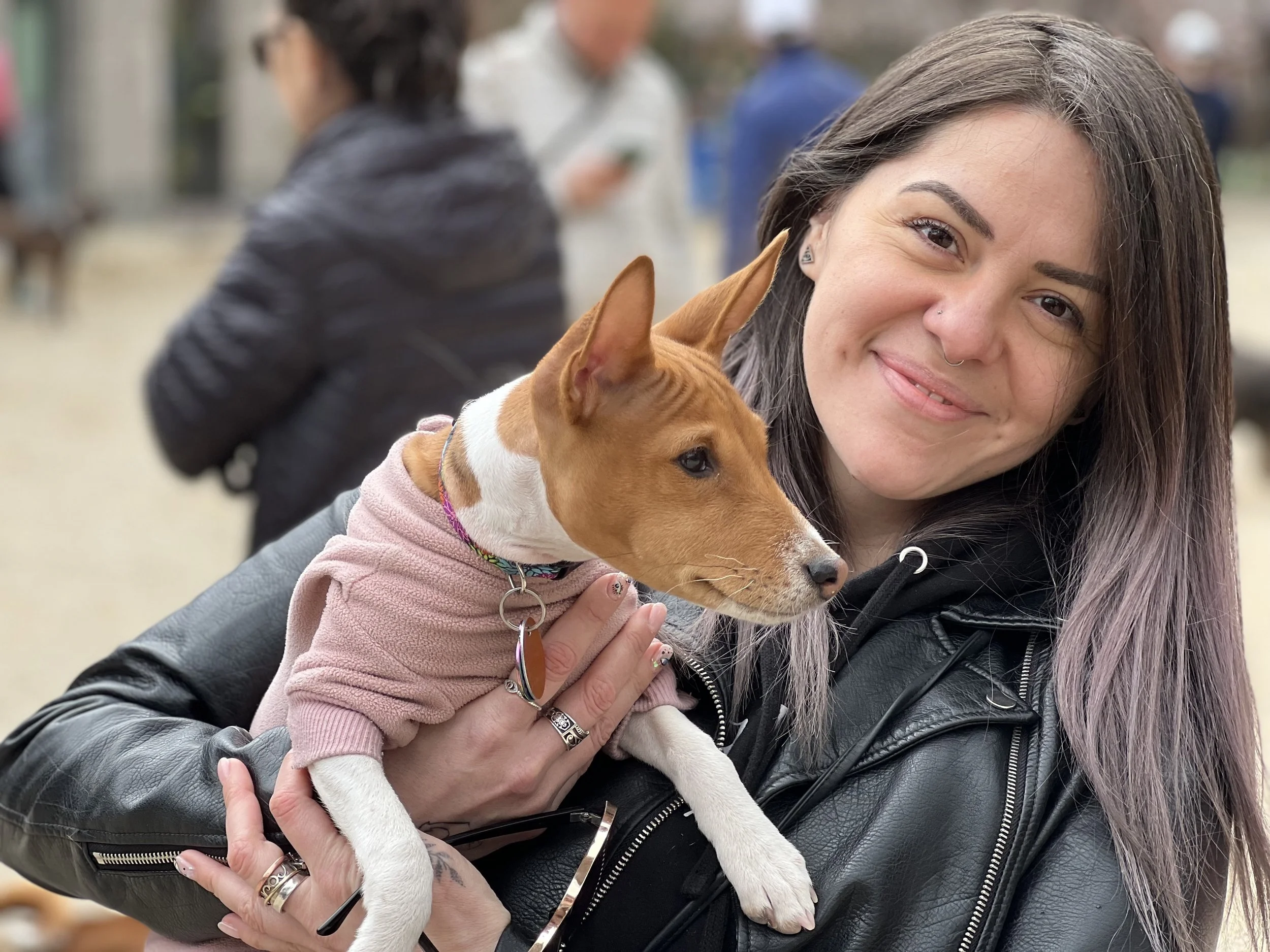 Gaia, Phoebe, Willow, Abbey, and Pablo Premiere - New York City Basenji Meetup - 10 April 2022