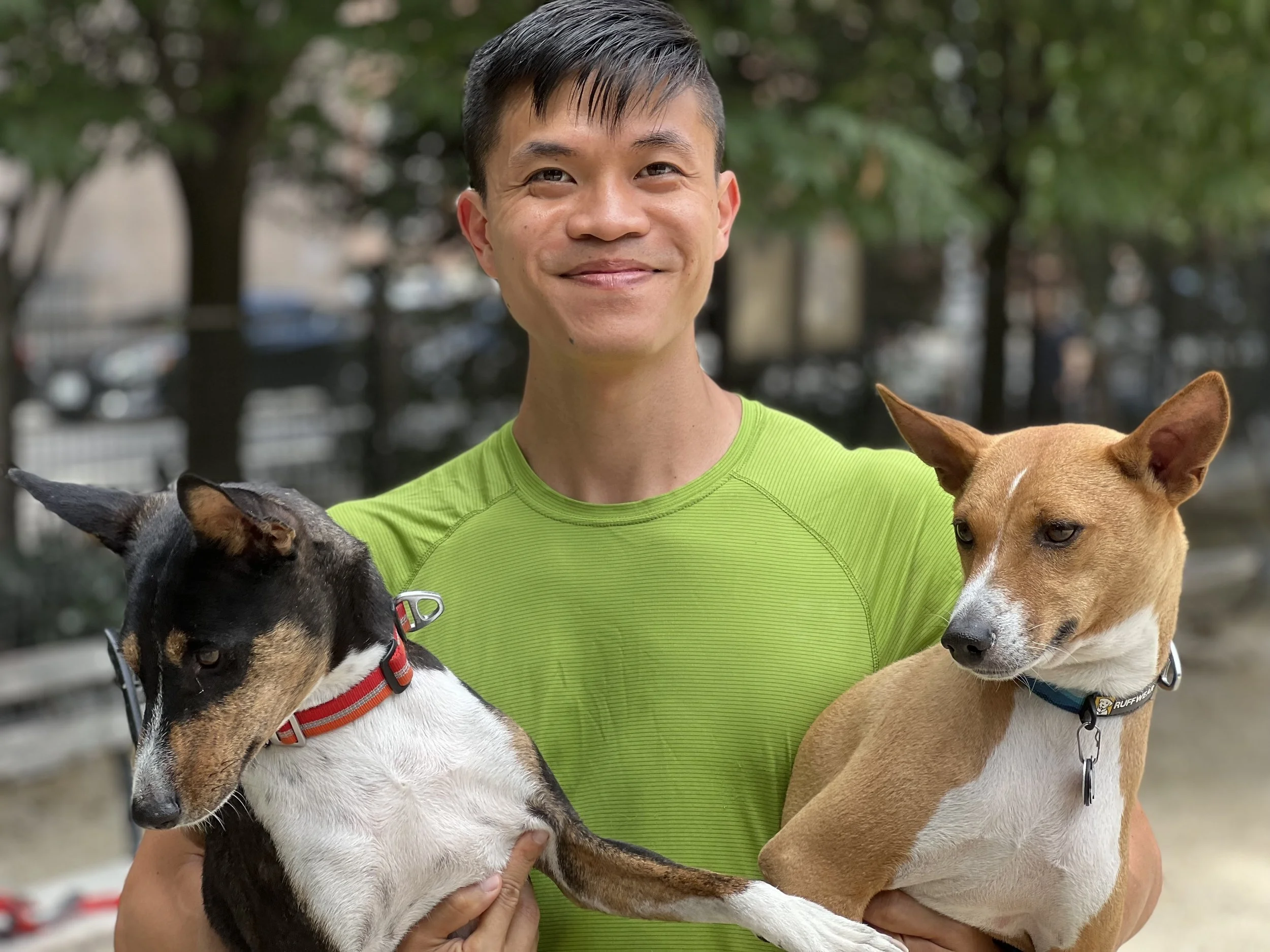 Kepler, Three Niblings, and Ten Other Basenjis - New York City Basenji Meetup - 3 July 2022