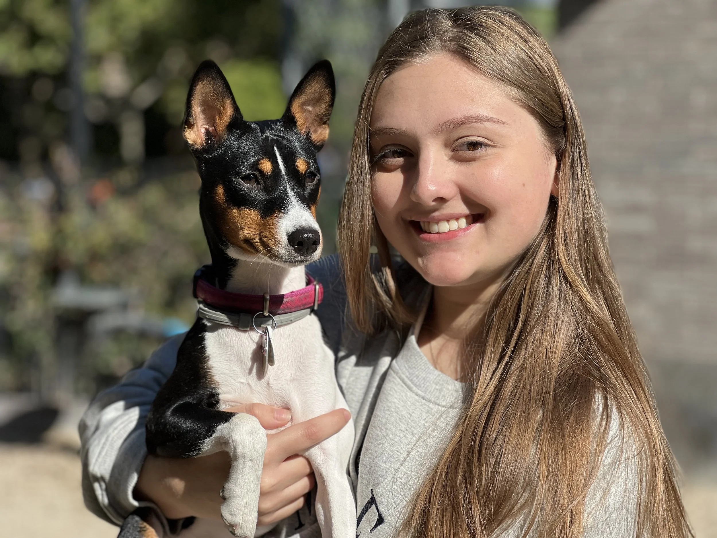 Welcome Aria; Goodbye Watson - New York City Basenji Meetup - 9 October 2022