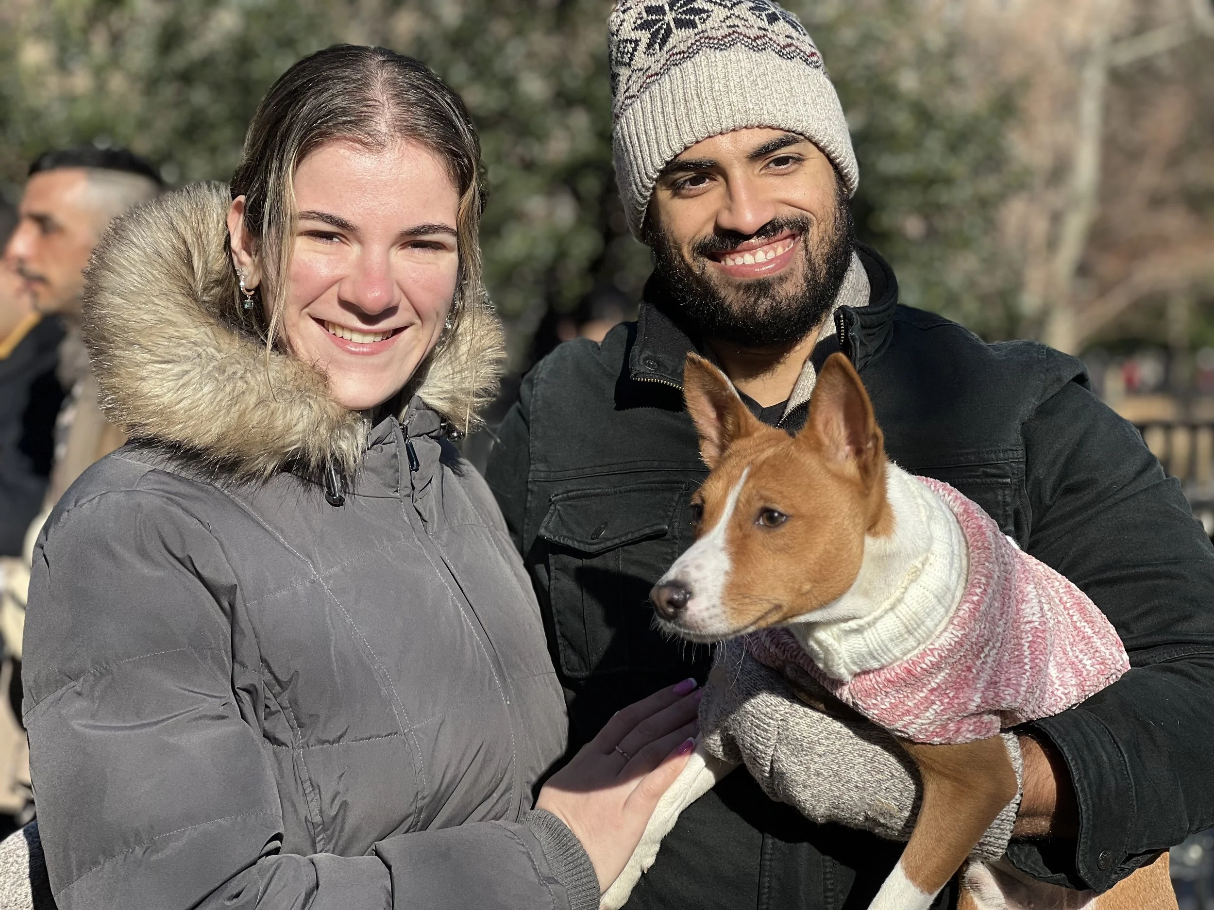 Fox Premieres, Makes it Ten - New York City Basenji Meetup - 8 January 2023