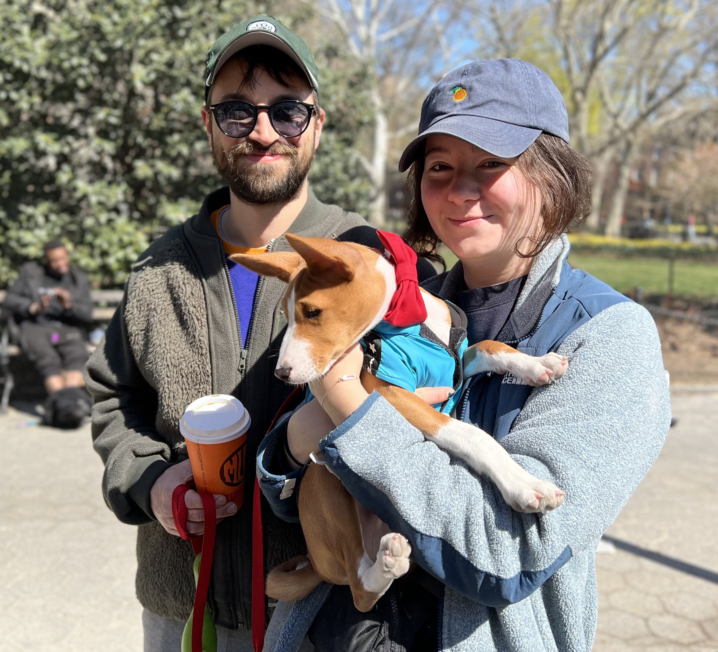 Two Premieres and One Sneak Preview - New York City Basenji Meetup - 9 April 2023