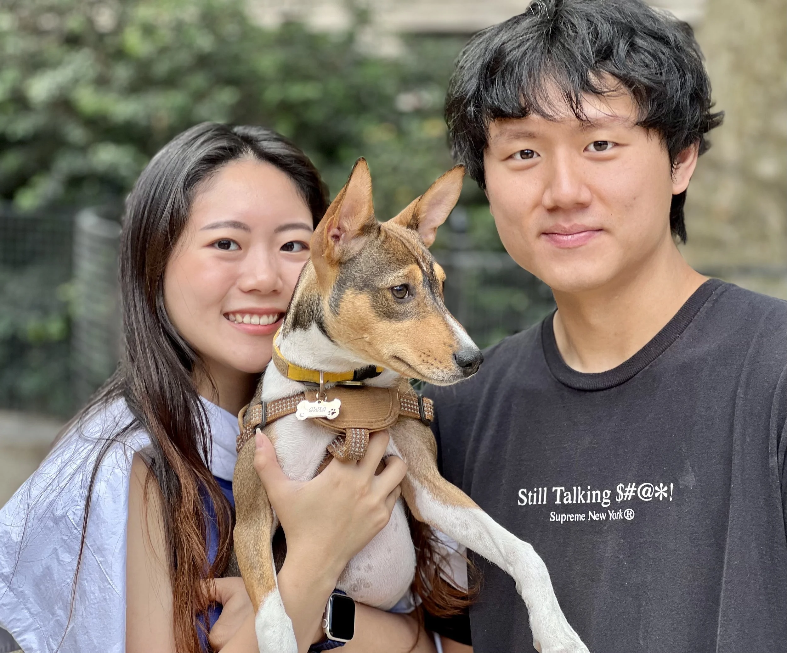 Puppy Shua Sings and Tussles - New York City Basenji Meetup - 18 June 2023