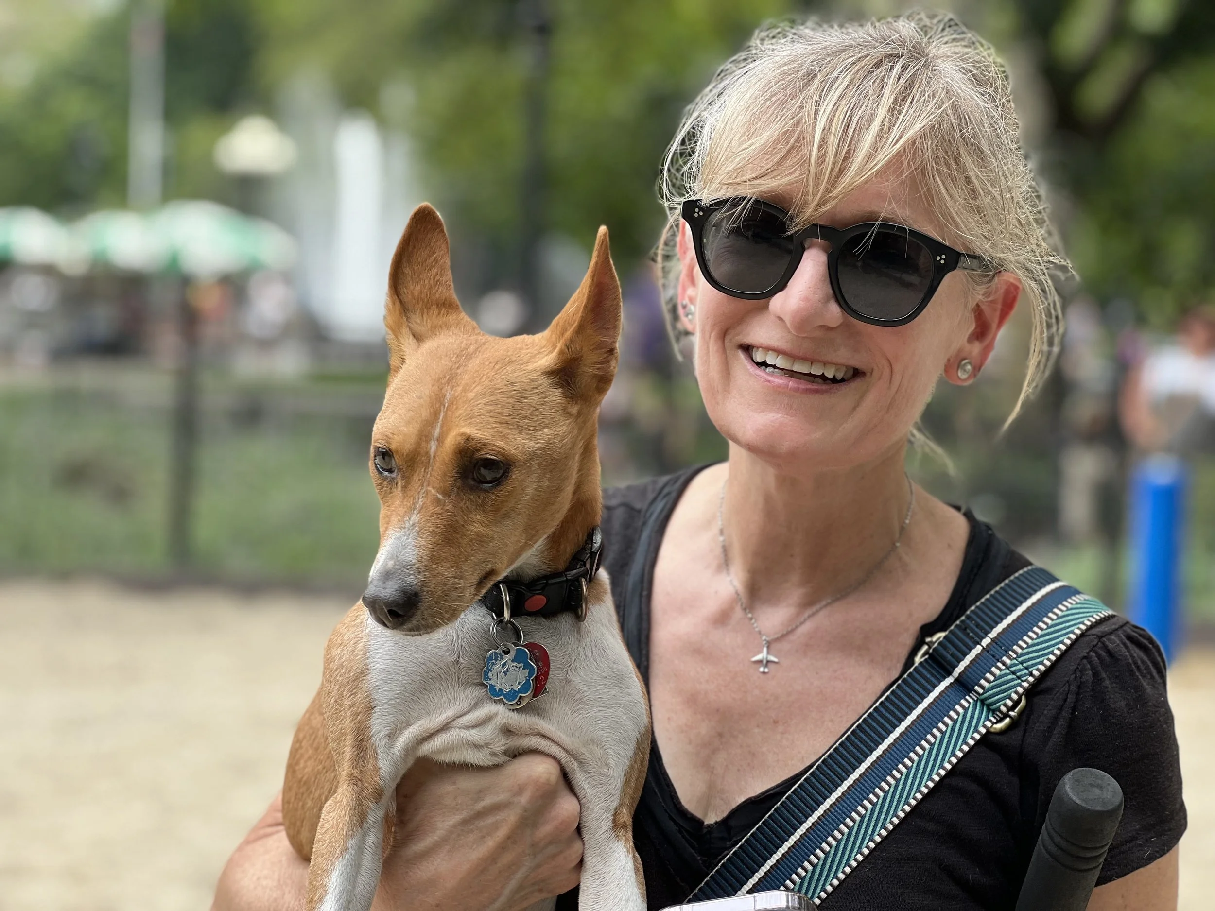 Two Dogs: A Playdate; Three Dogs: A Meetup - New York City Basenji Meetup - 9 July 2023