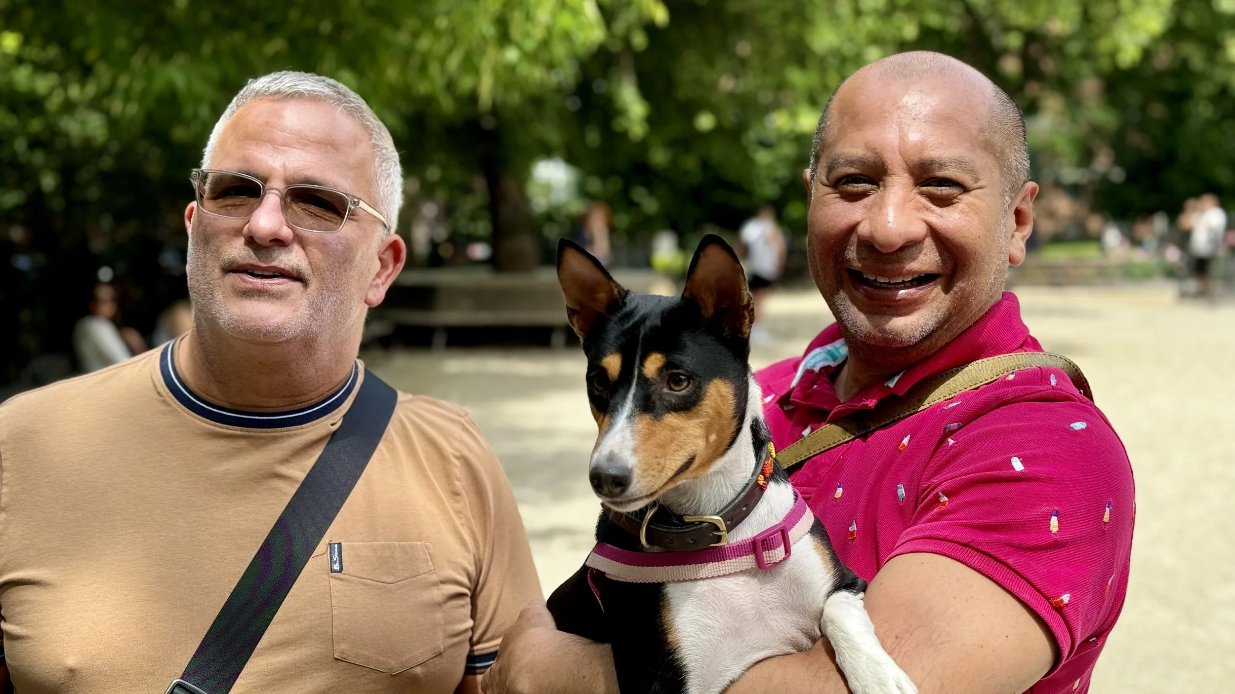 Cancelled * Join Us! - New York City Basenji Meetup - 9 June 2024