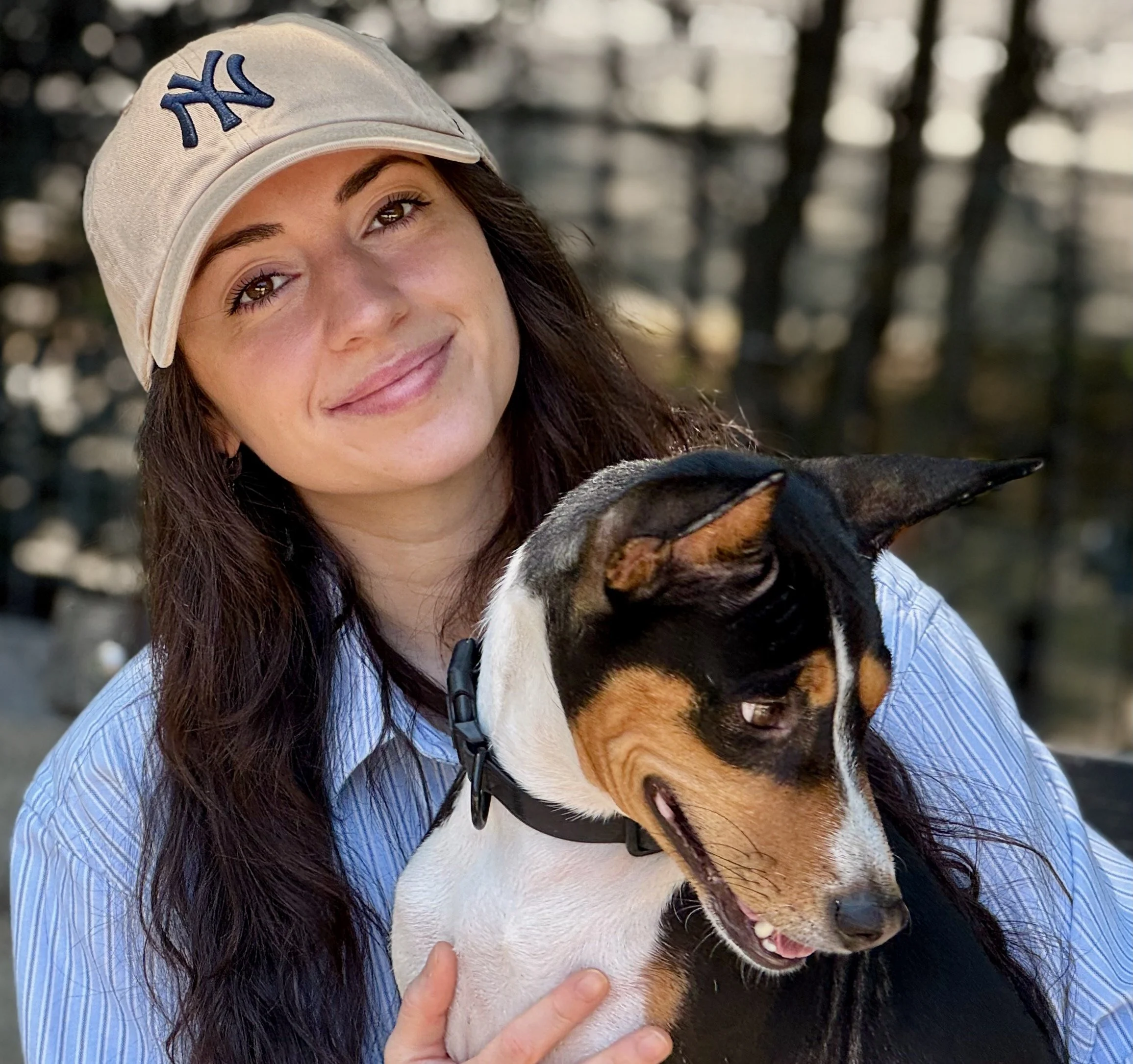 Spring Tussles; Edo Premieres!- New York City Basenji Meetup - 11 May 2025