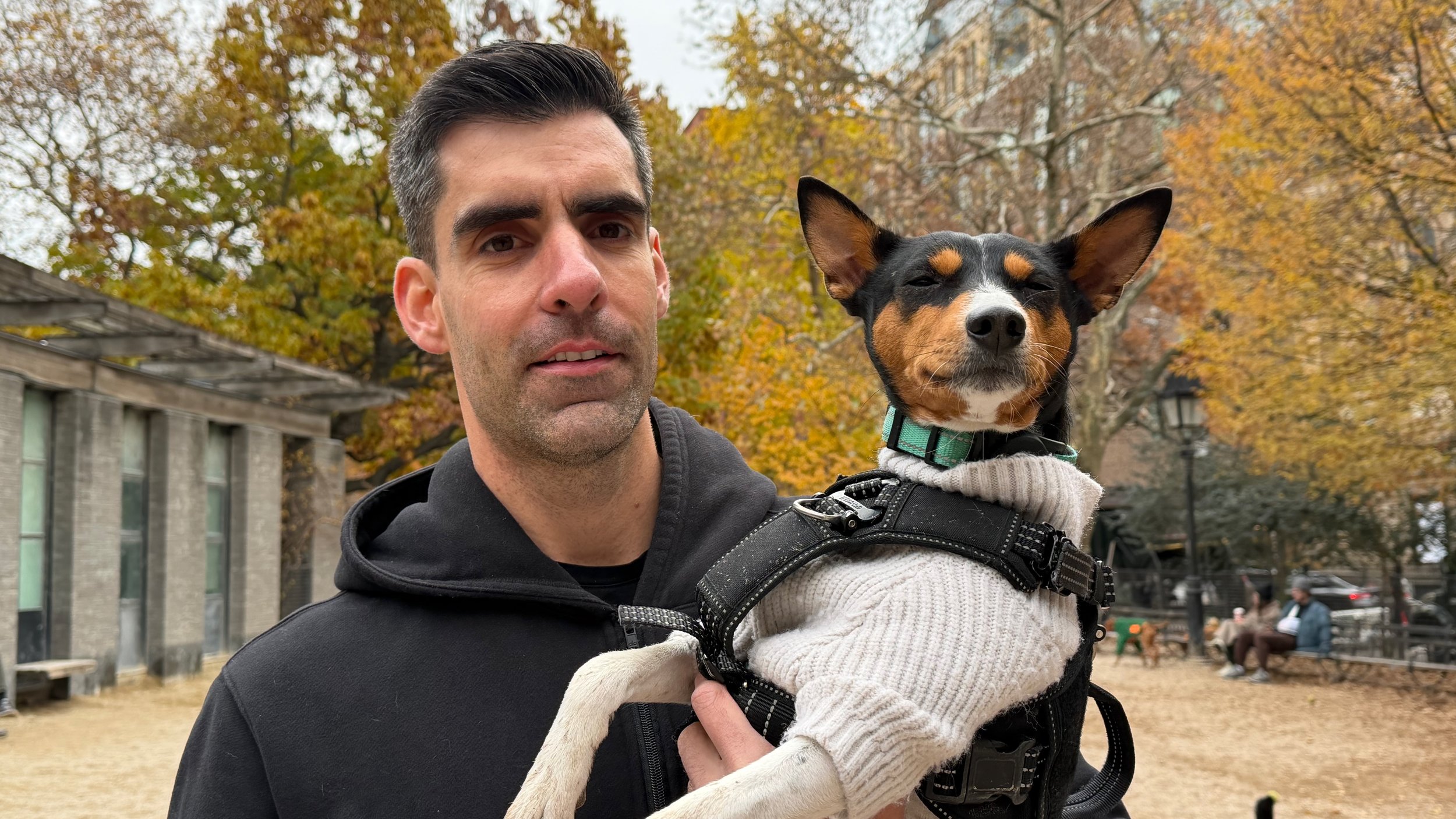 Join Us! - New York City Basenji Meetup - 7 December 2025