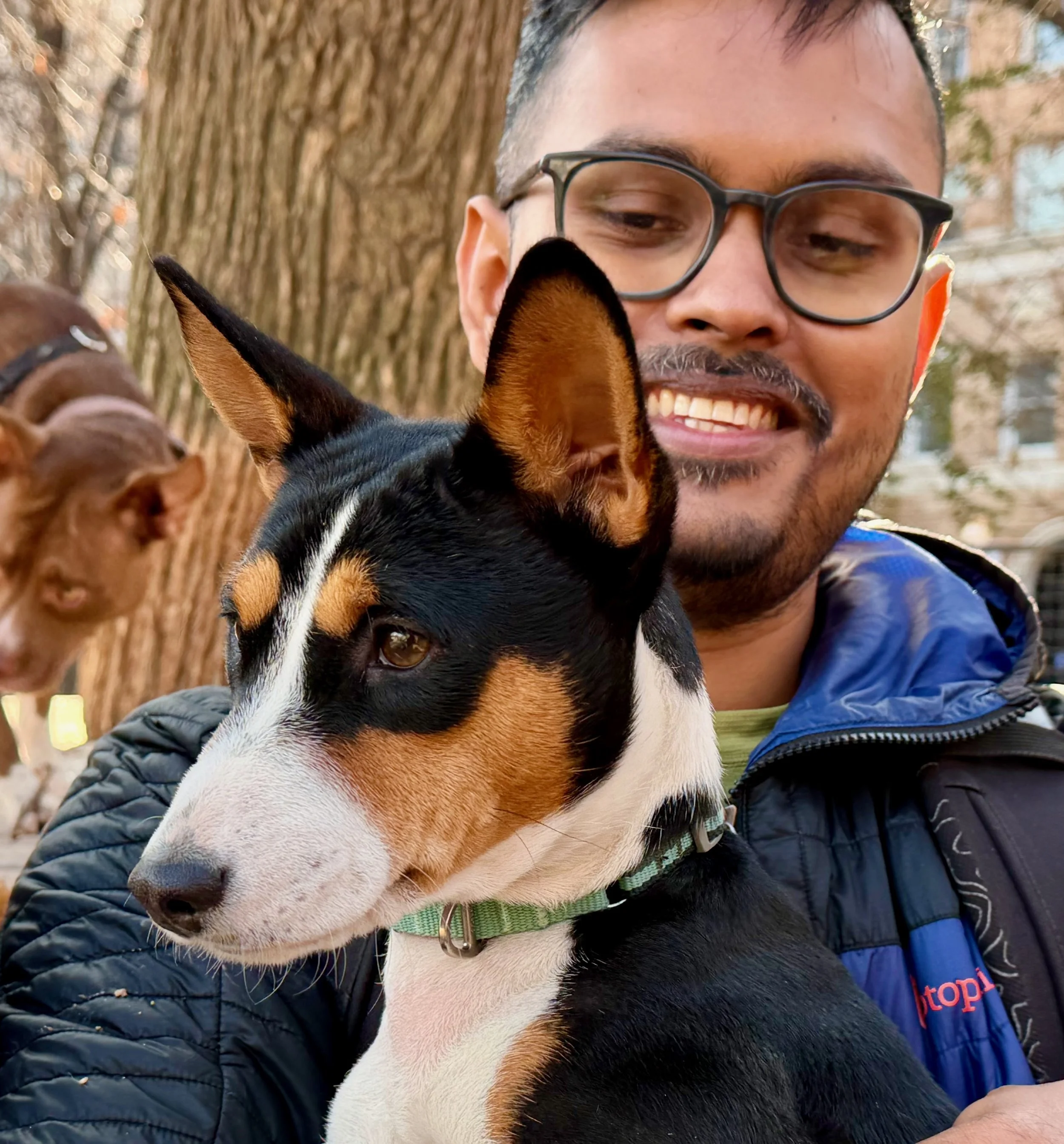 Join Us! - New York City Basenji Meetup - 21 December 2025