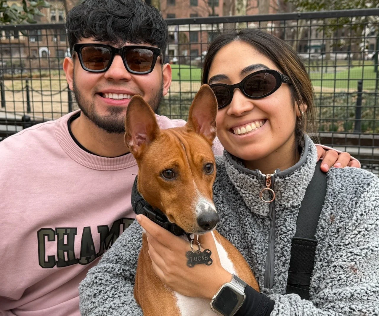 Join Us! - New York City Basenji Meetup - 12 April 2026