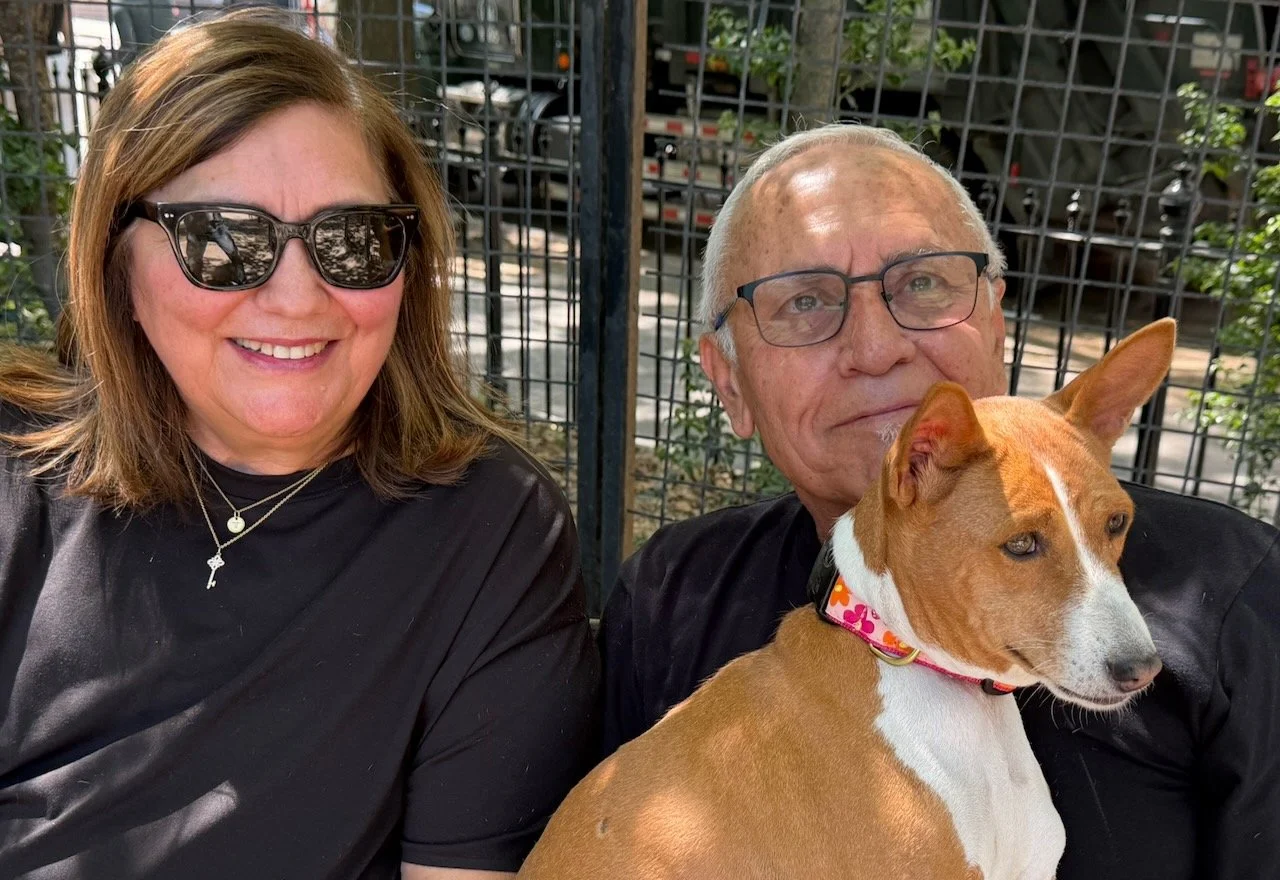 Join Us! - New York City Basenji Meetup - 31 May 2026