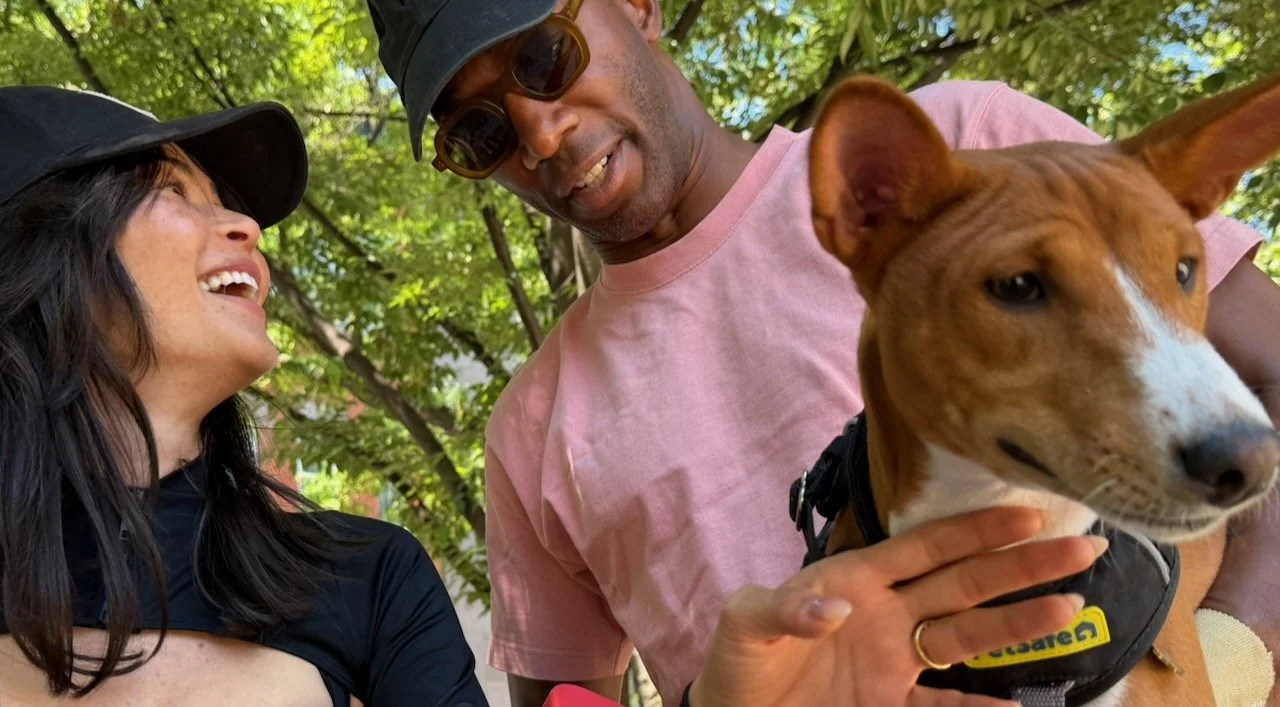 Join Us! - New York City Basenji Meetup - 2 August 2026