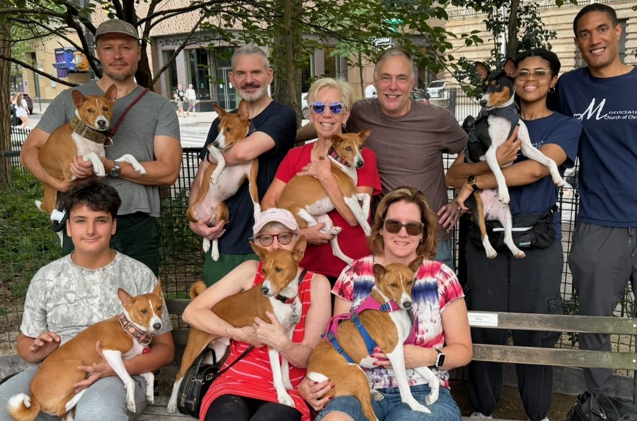 Join Us! - New York City Basenji Meetup - 16 August 2026