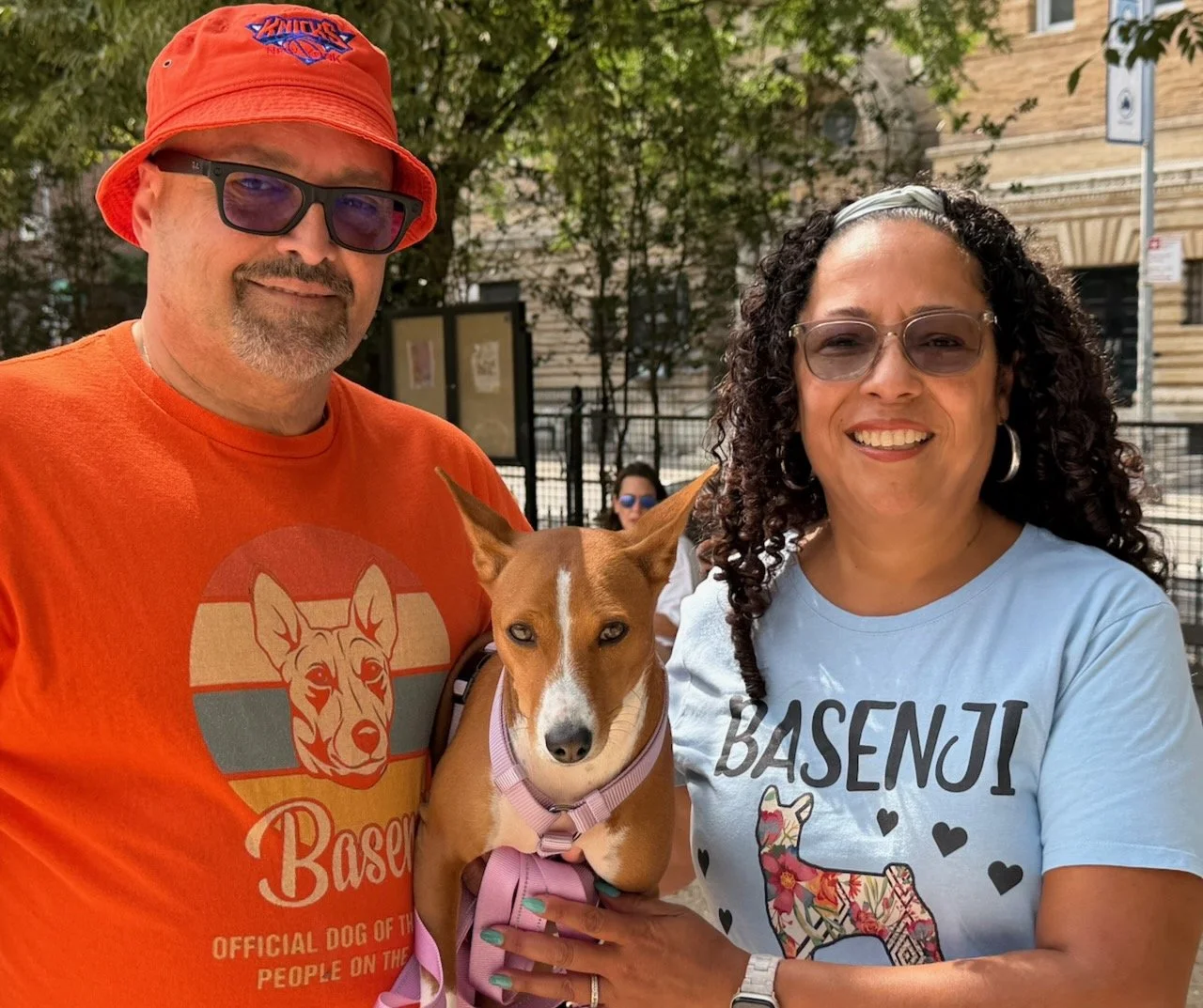 Join Us! - New York City Basenji Meetup - 23 August 2026