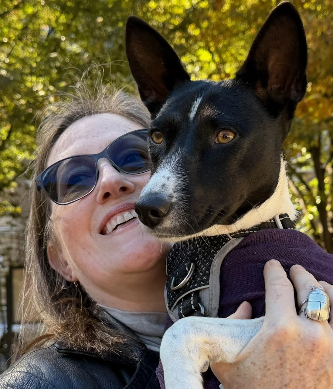 Join Us! - New York City Basenji Meetup - 25 October 2026