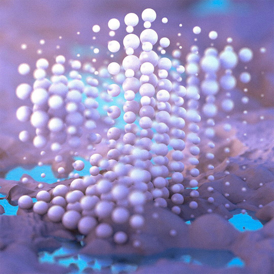 stilhllife copy copy.jpg