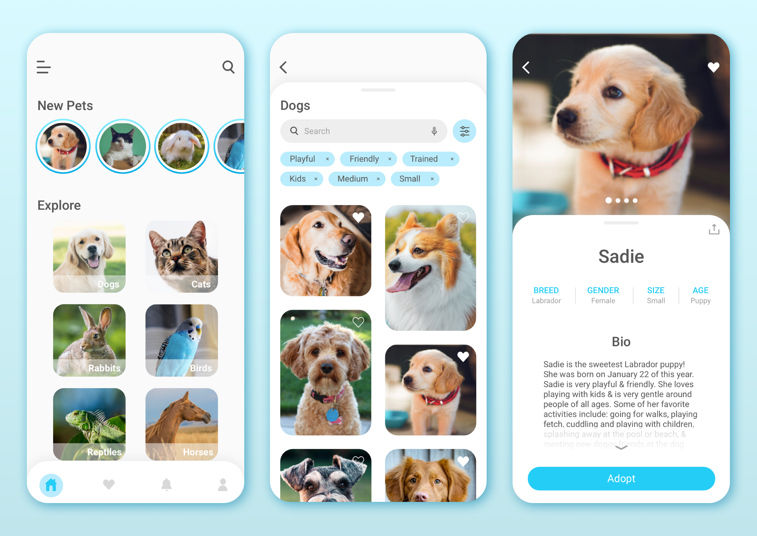 PP- Mockup Mockup 1.png