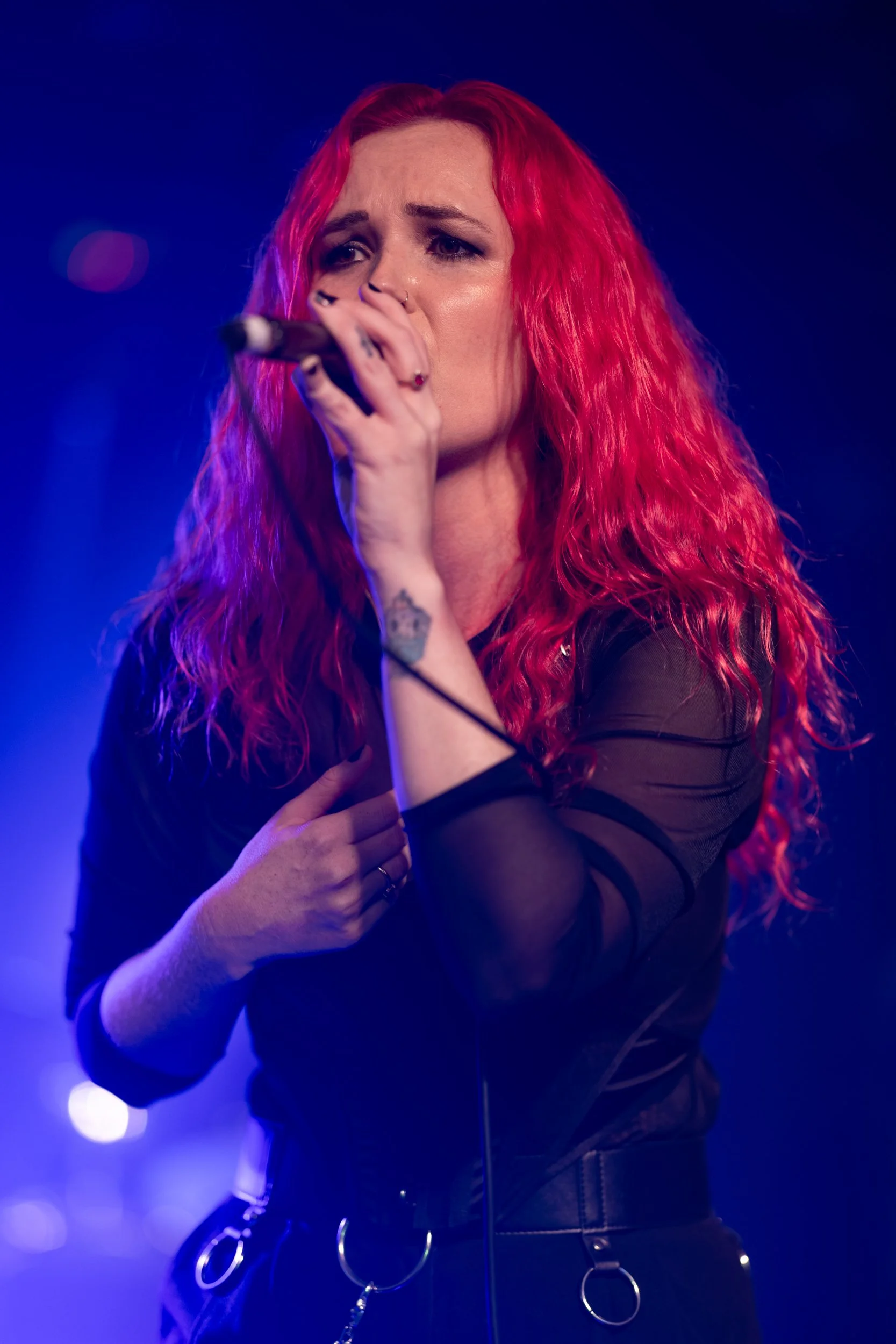 Evol Walks - 2026.07.31 - The Three Clubs - 018 [Squarespace].jpg