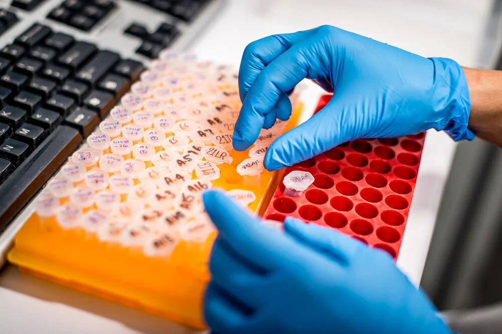 tubes for strip-1.jpg