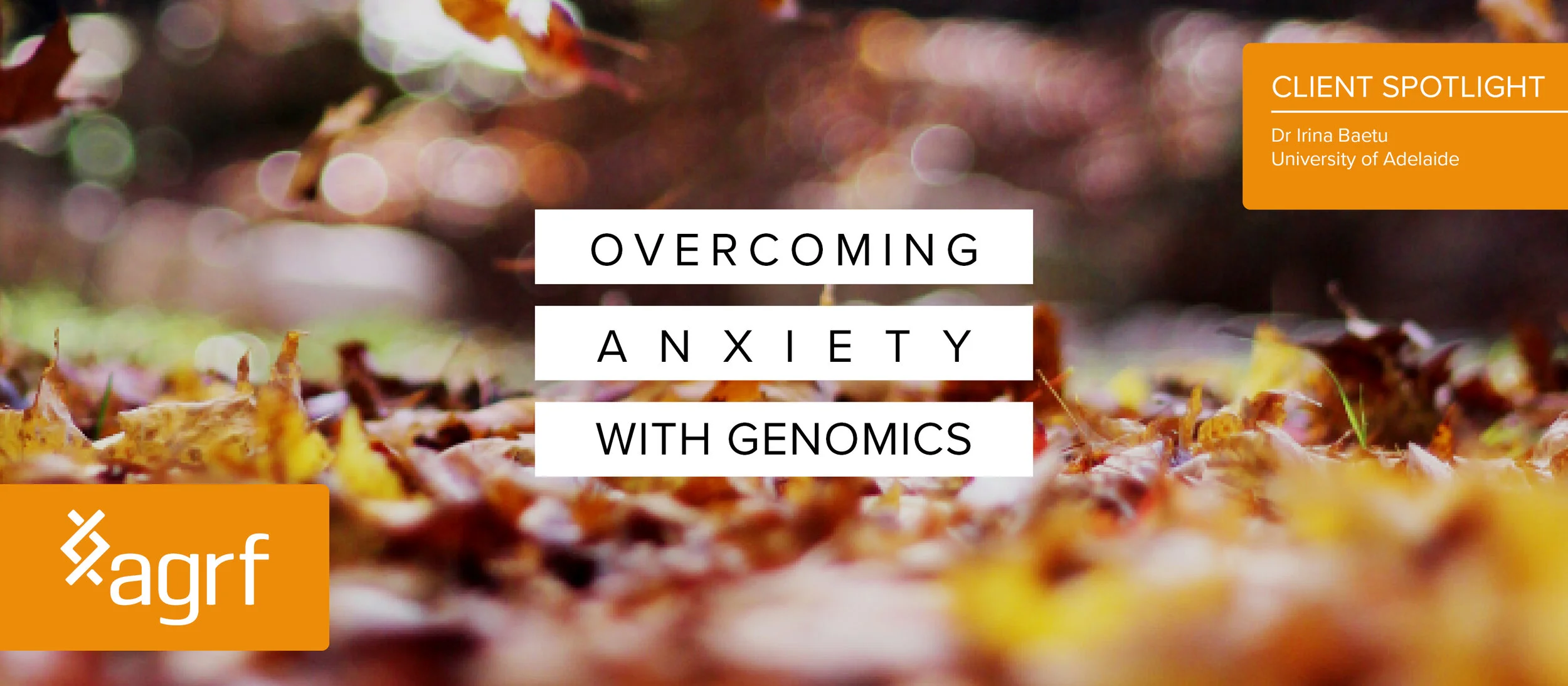 Blog Banner_Overcoming Anxiety.jpg