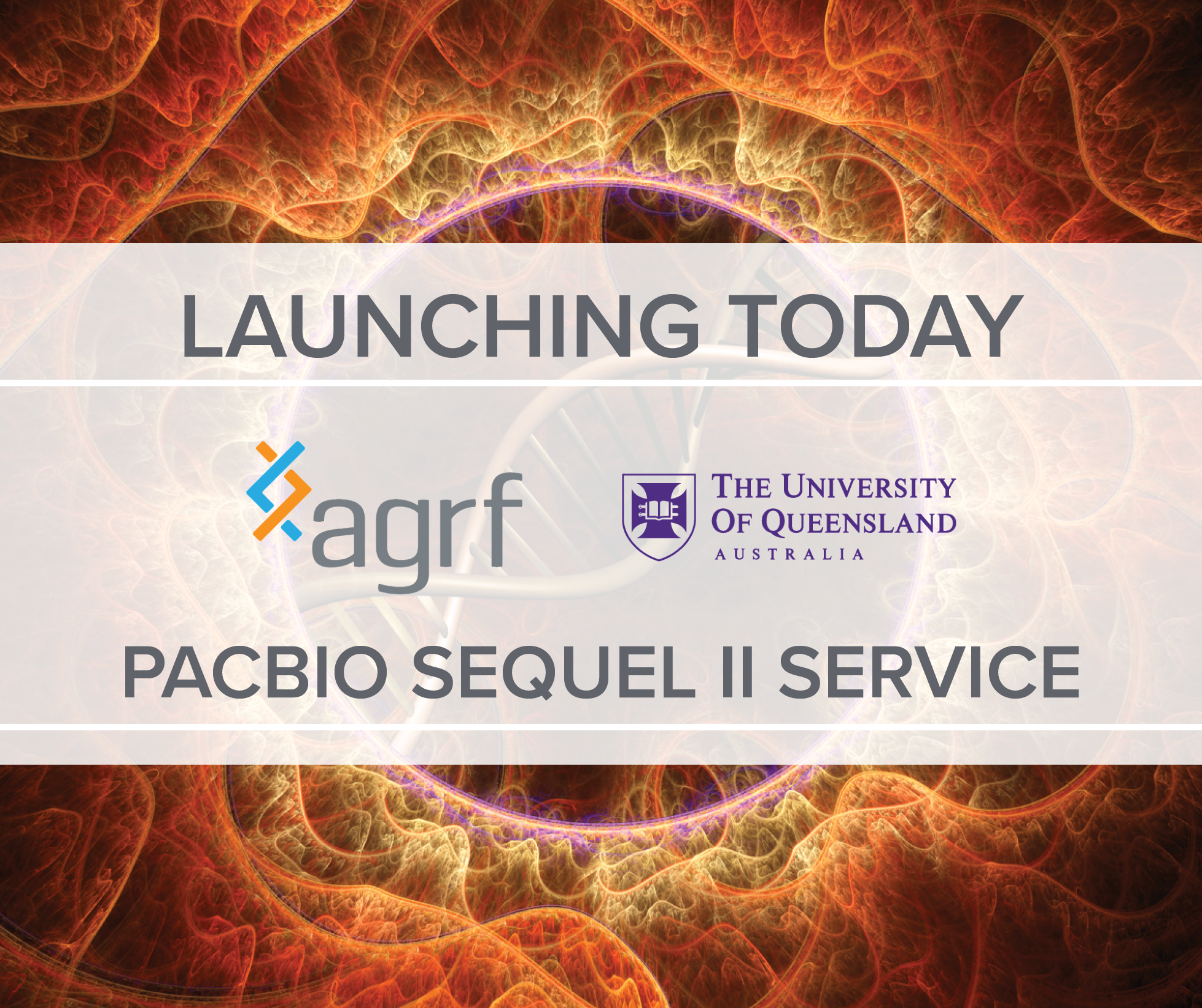 Australia's first PacBio Sequel II service, delivering high accuracy long read sequencing