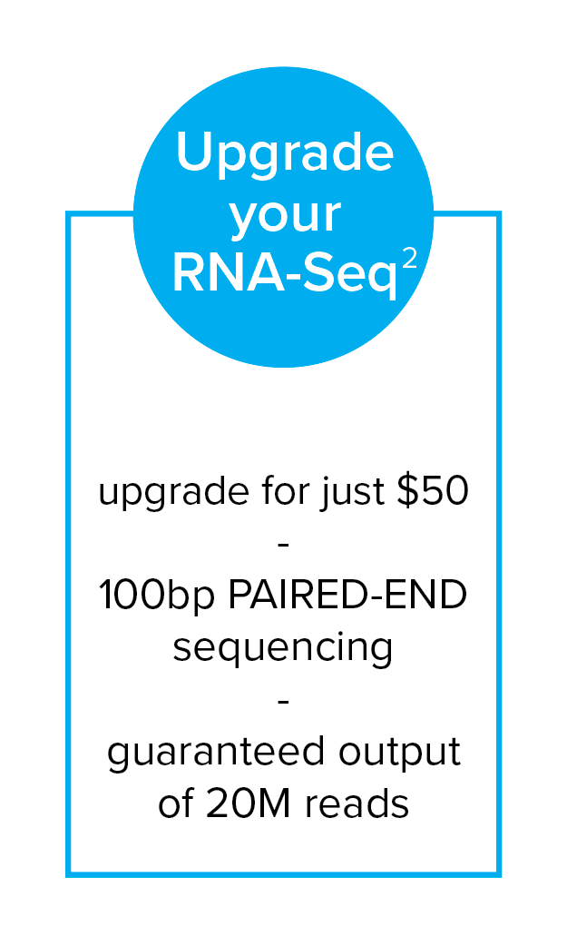 RNA-Seq-2.png
