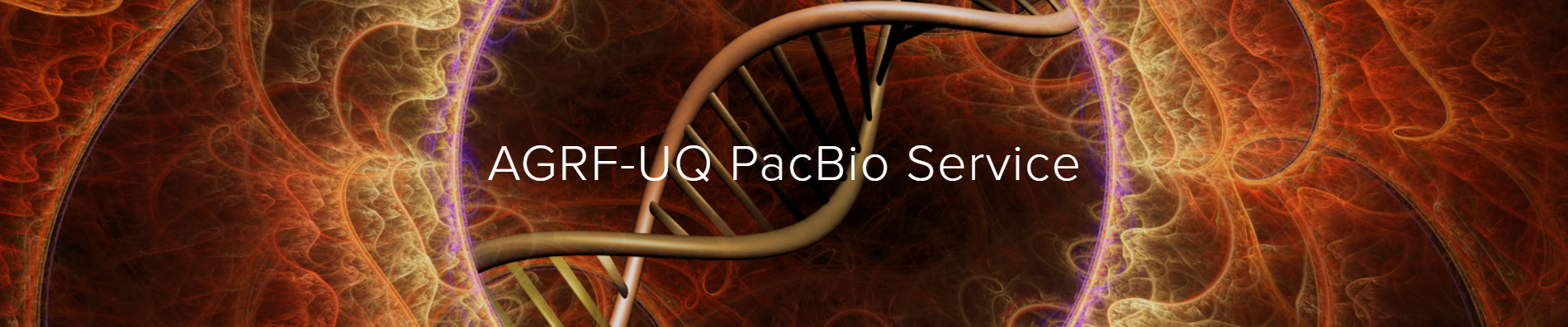 pacbio banner.png