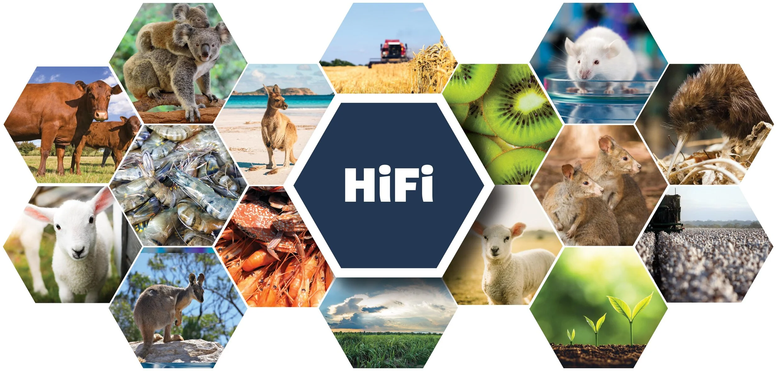 Announcing the PacBio ANZ HiFi SMRT Grant Winner!