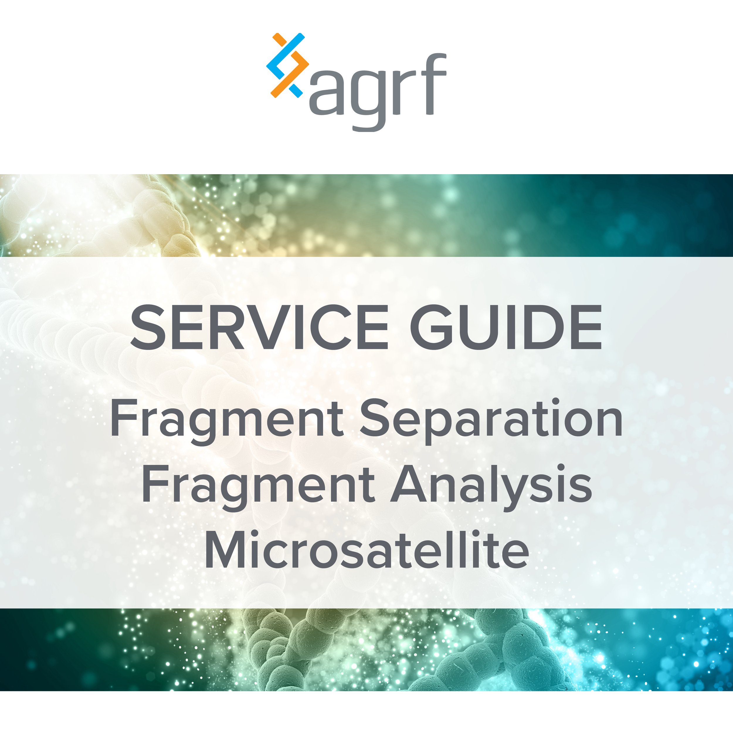Web Tile_Fragment Separation Analysis and Microsatellite.jpg