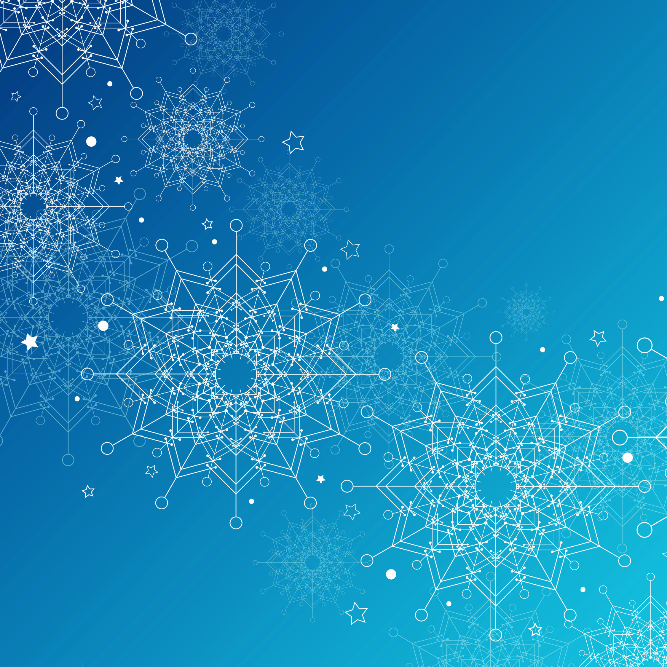Email_Xmas_2024_websiteheader.png