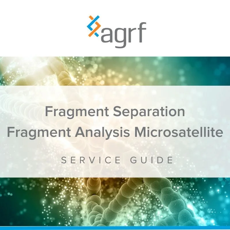Fragment Separation Fragment Analysis Microsatellite.jpg