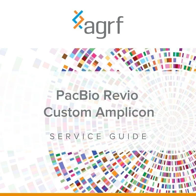 PacBio Revio Custom Amp.jpg