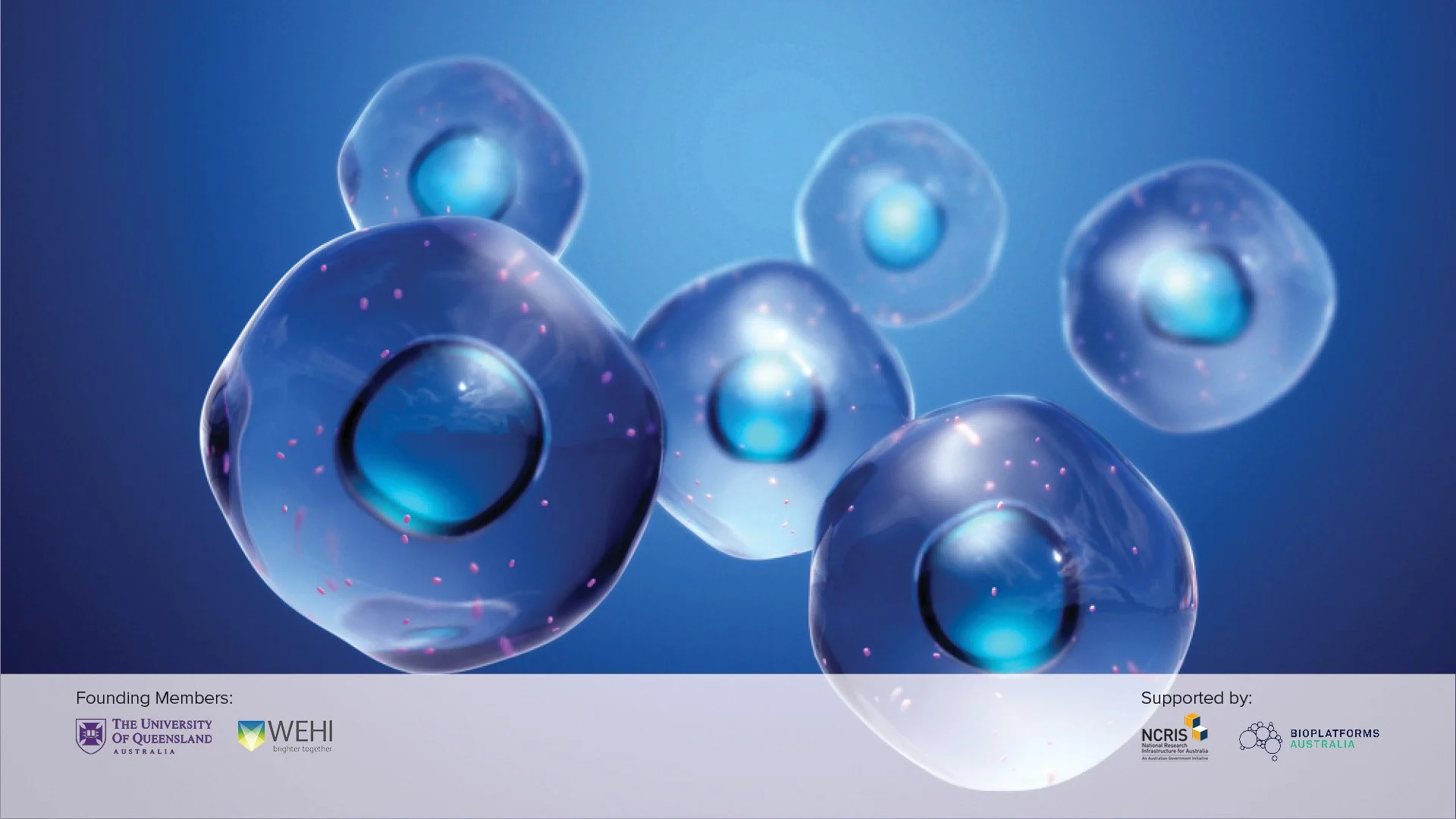 AGRF Biomedical - Cells_FW.jpg