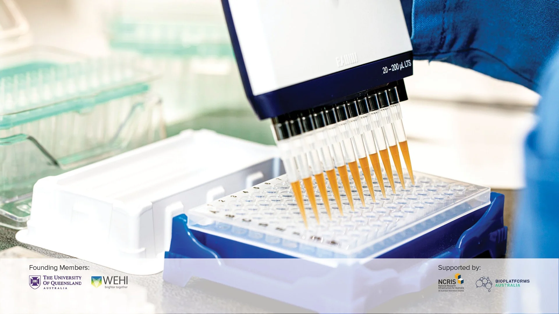 AGRF Laboratory - Genomics - Pipetting_FW.jpg