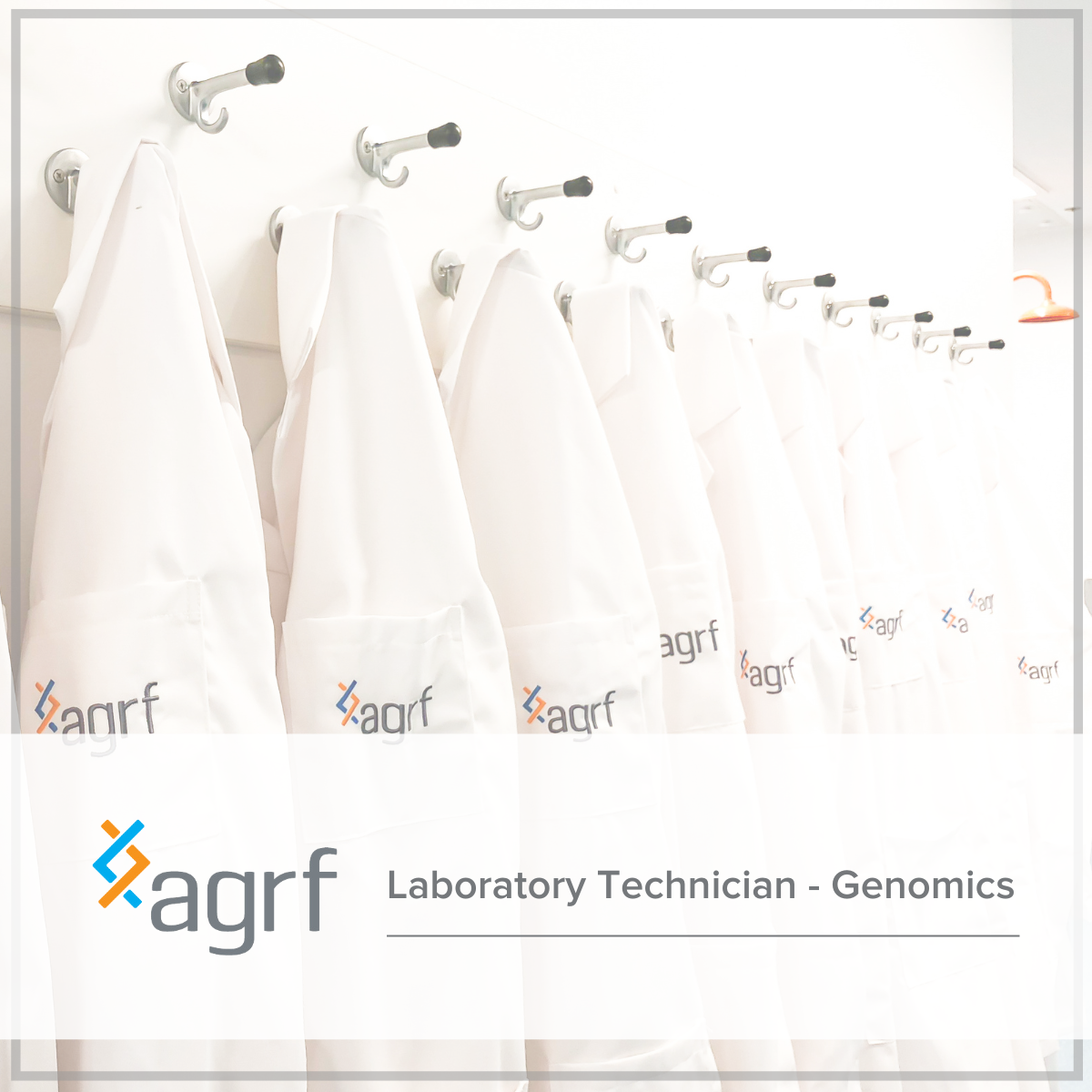 Careers — AGRF