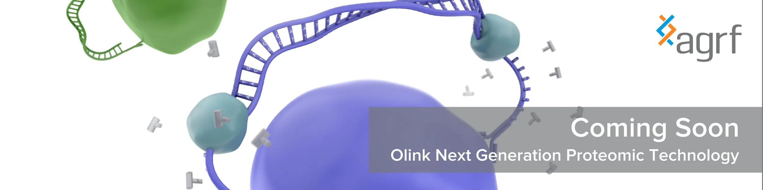 Agrf Filter OLINK — AGRF