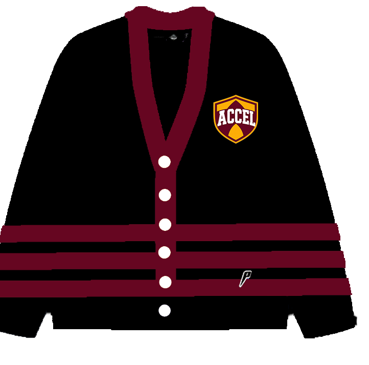 ACCEL STRIPPED CARDIGAN