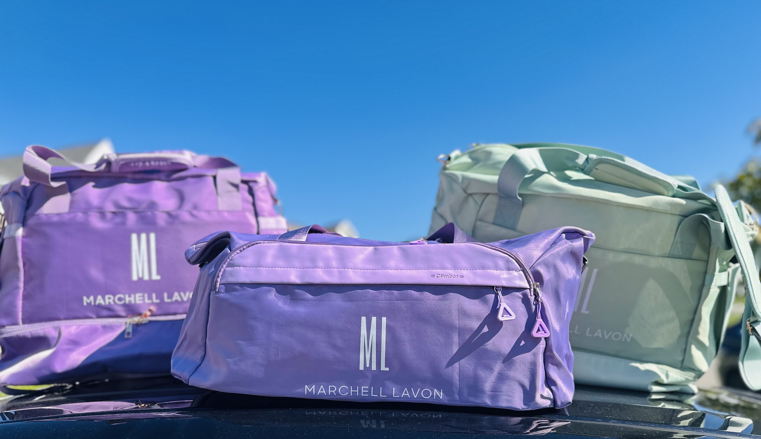 NEW! ML PURPLE OBLONG BAG