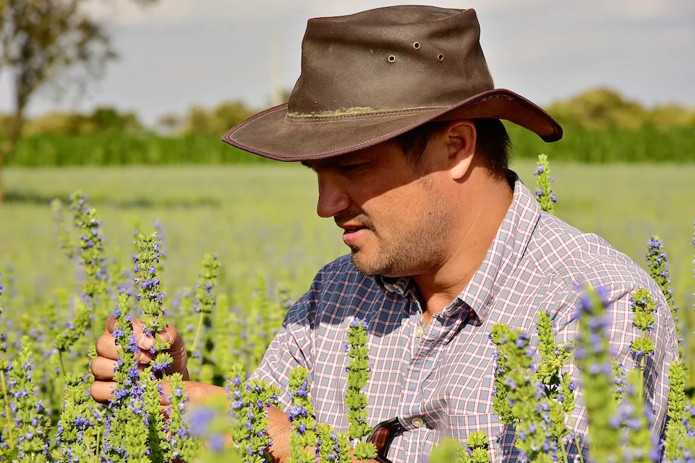 Paul in chia field.JPG