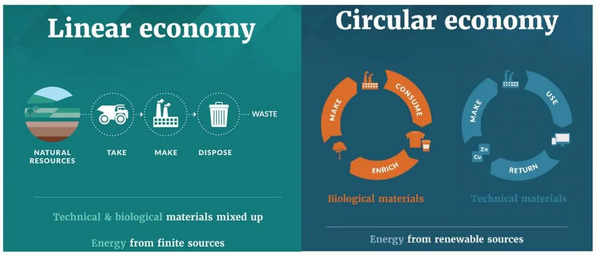 Courtesy of New Zealand Ministry for the Environment