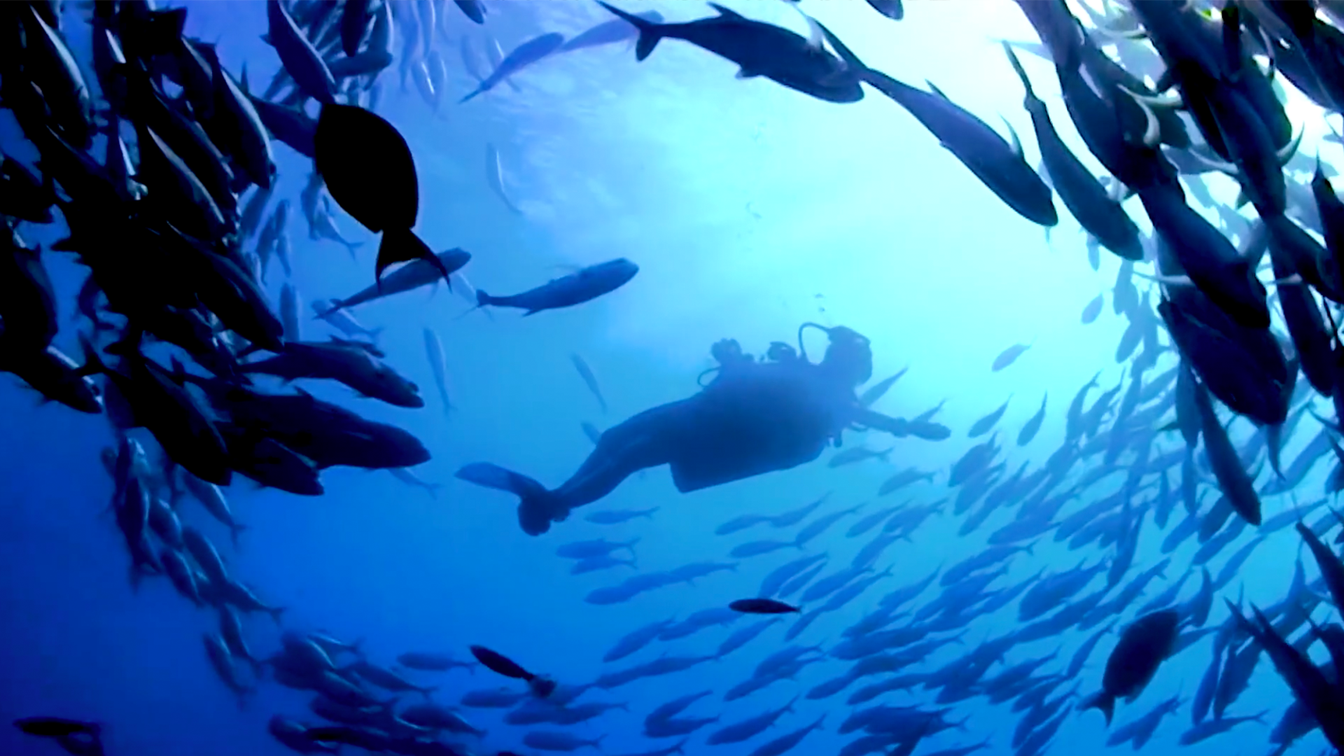 Ocean_Thumb.png