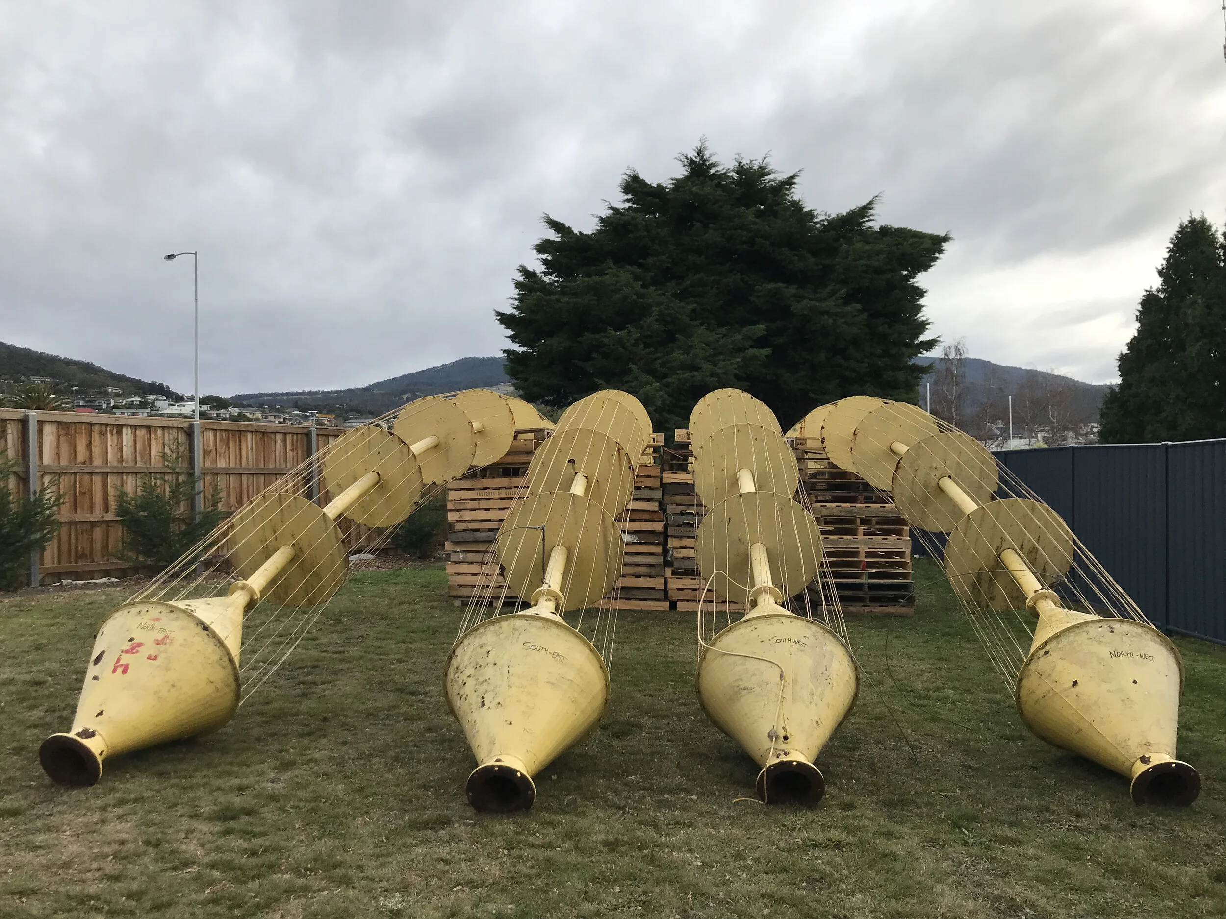 Arch resting comfortably