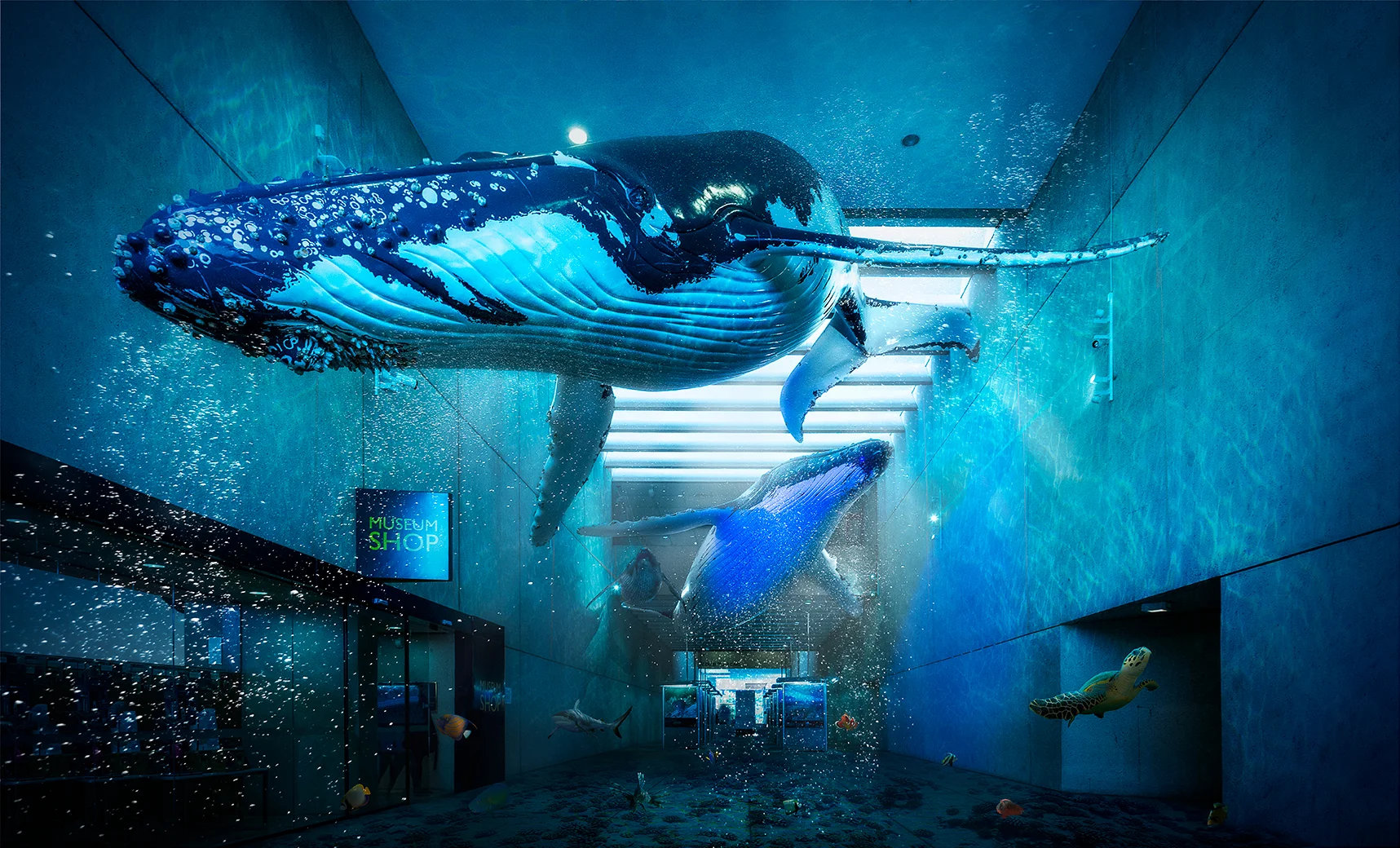 DSC_0257_WHALE.jpg