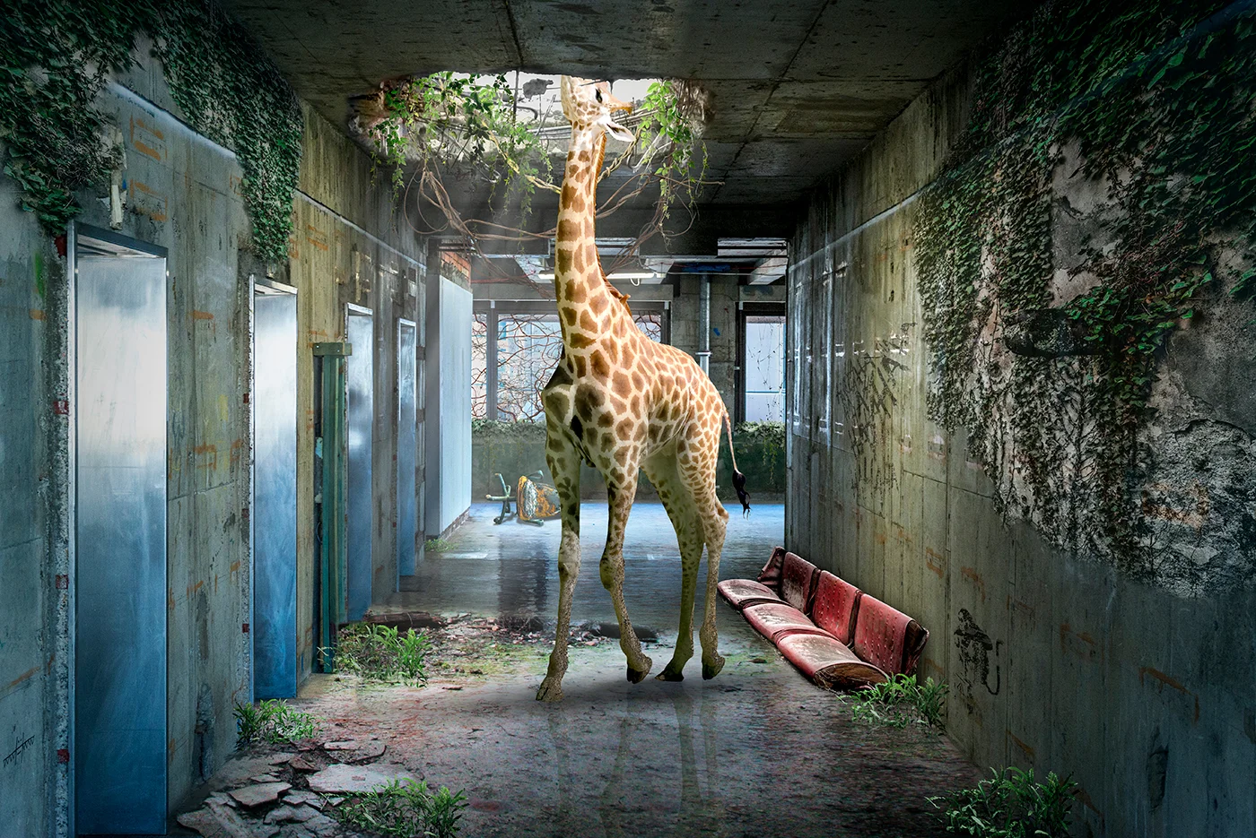 Last_Giraffe_sRGB.jpg