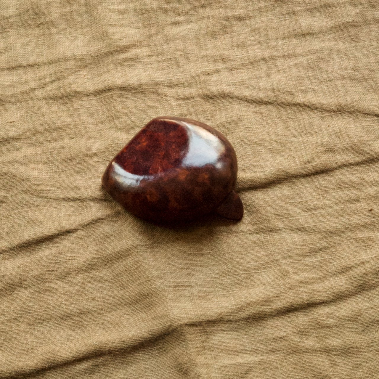 L1005494.jpeg