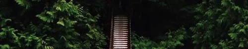 tree7.jpg