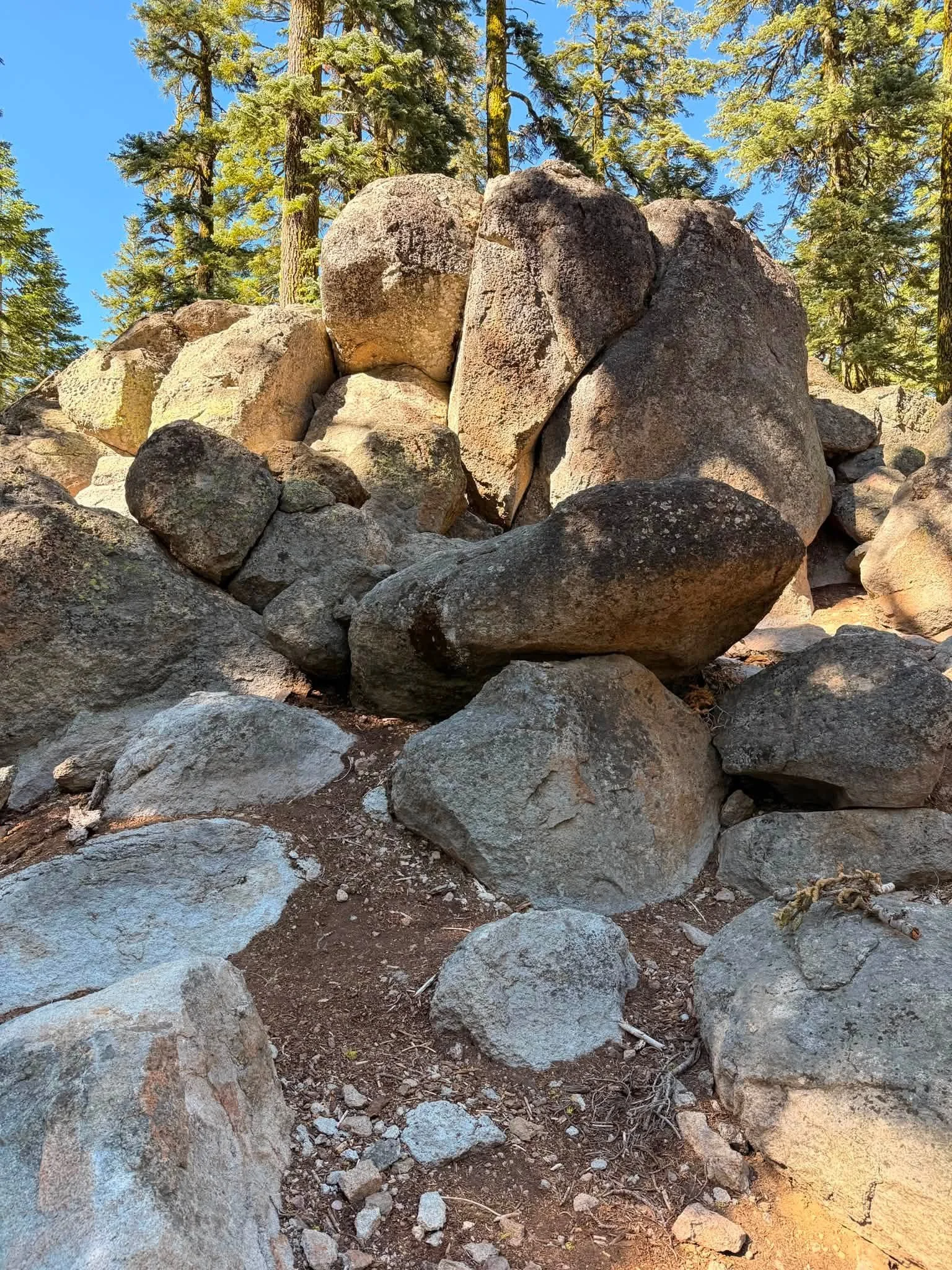 760536482_10217829143637991_4808328808368832538_n.jpg