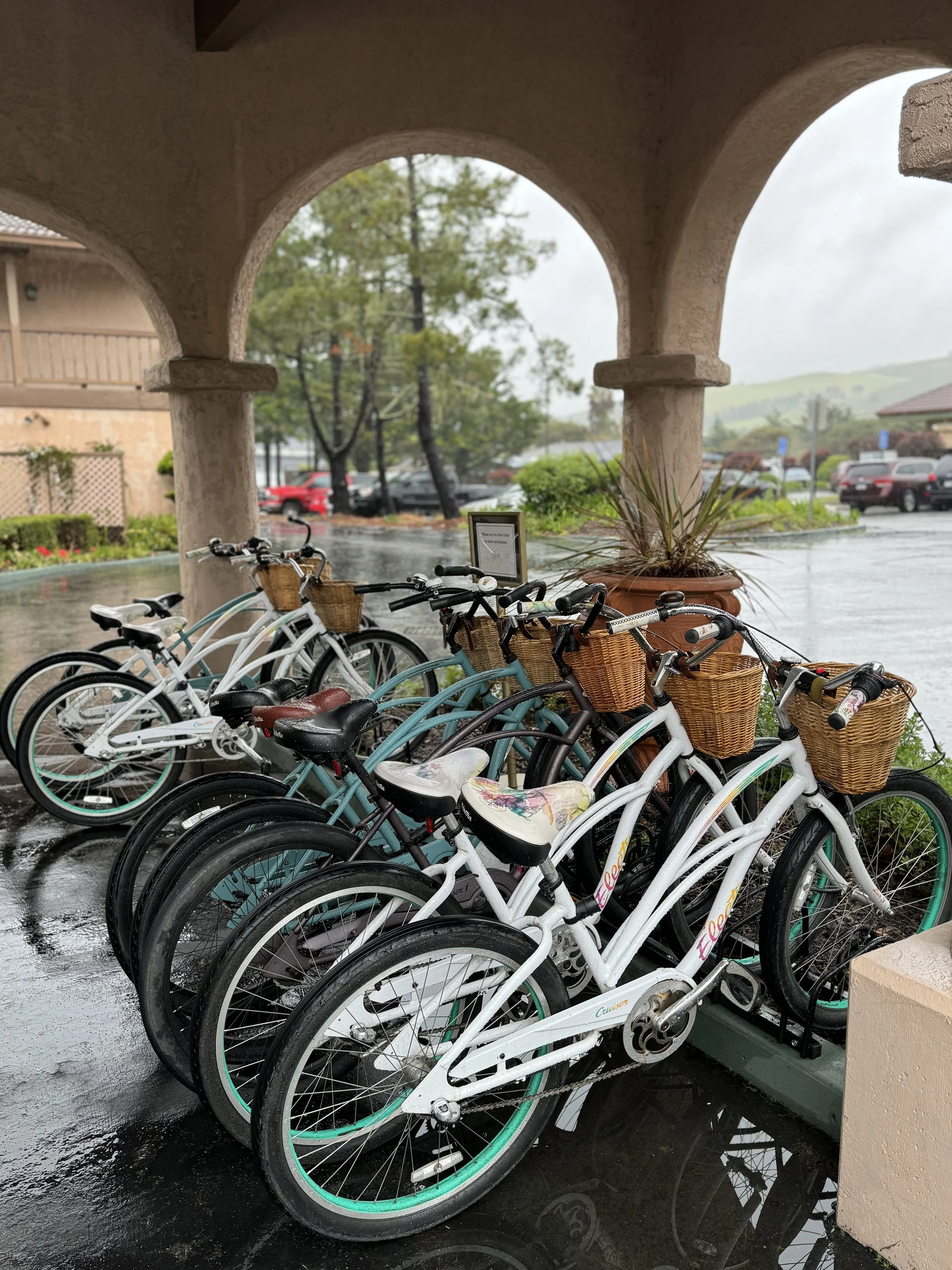 Mom's Oasis: A Retreat to Half Moon Bay Lodge